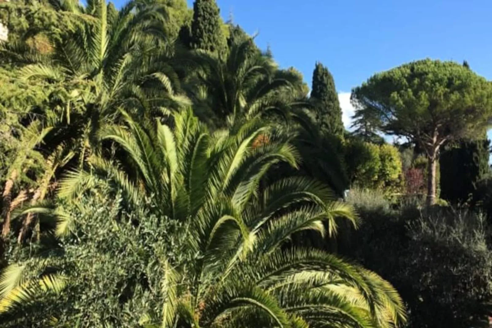 Bel Appartement 4 Chambres Vue Mer - Clim - Piscine - Tennis - Parc-Untagged