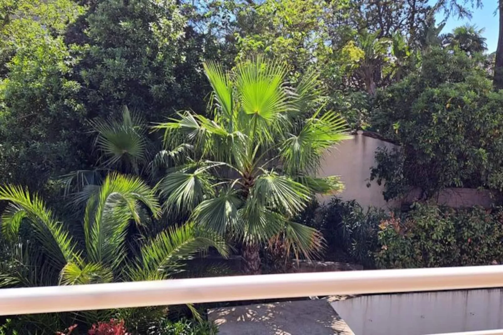 Résidence Sompteux Appartement Neuf &agrave; Antibes-Untagged