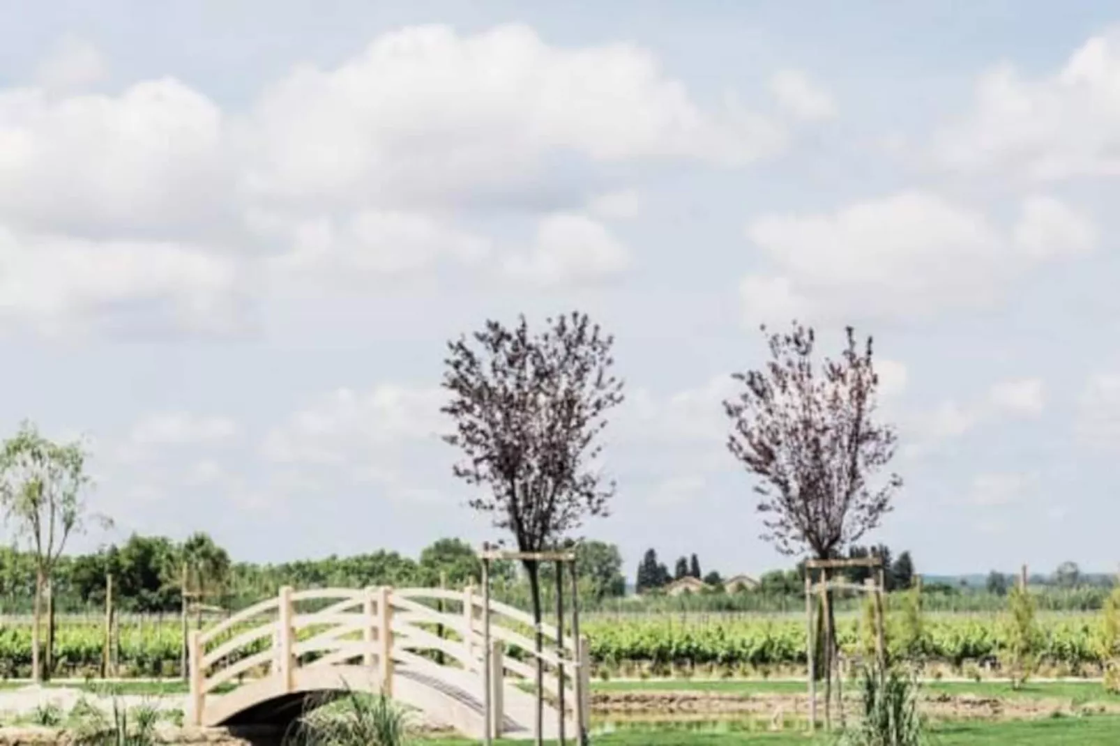 Le Mas Caladoc &ndash; Domaine De Luxe Avec Spa Privatif En Provence-Untagged