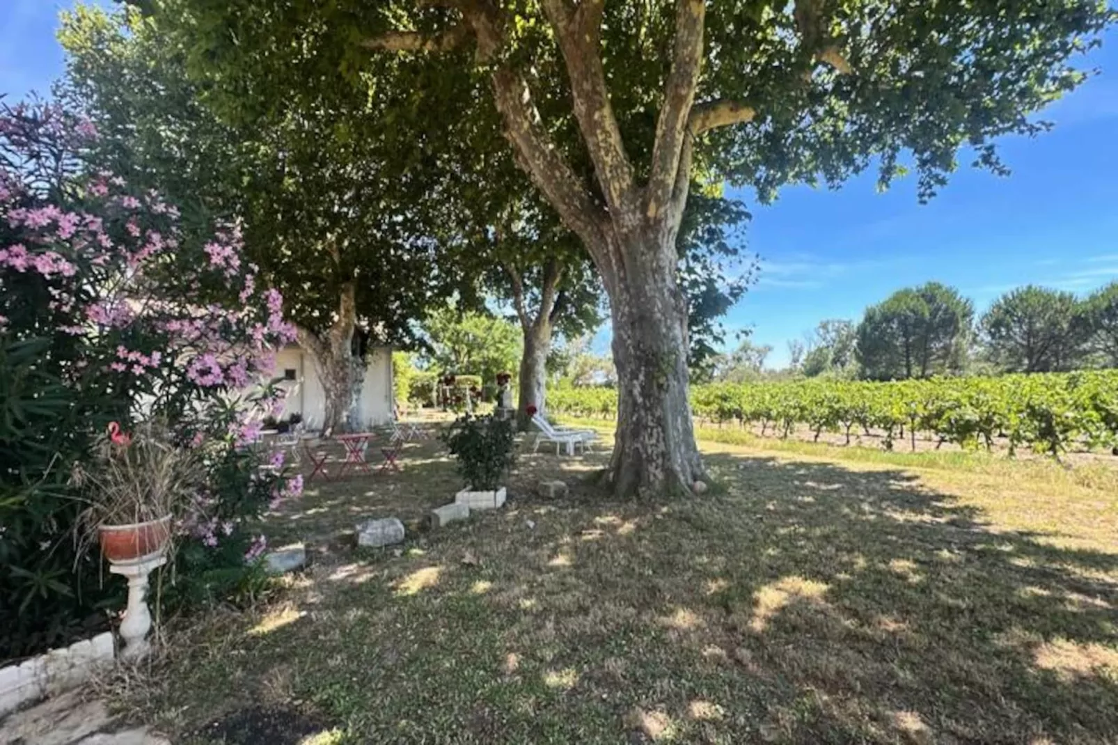 Résidence G&icirc;te De La Cave - Charmant G&icirc;te Proven&ccedil;al Avec Une Chambre-Untagged