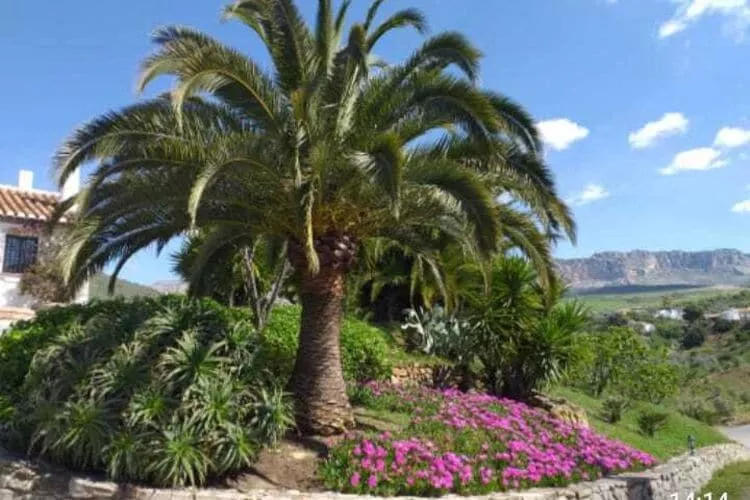Finca Lomas de Tienda-Area winter 20km
