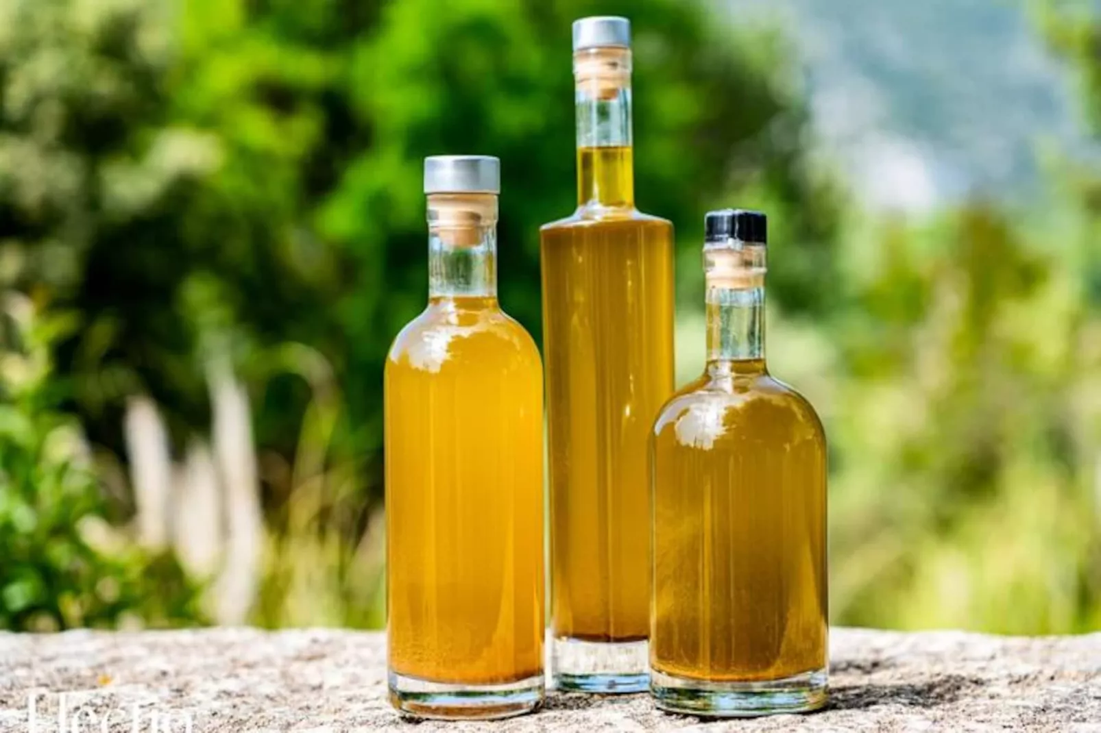 Loggia 8 Laurier | R&eacute;sidence Les Petitons-Non tagué