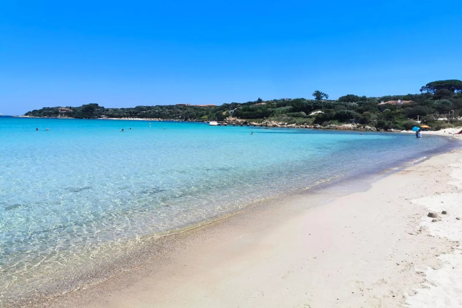 PR Bilo 3/4 VP-Areas within 1km in summer