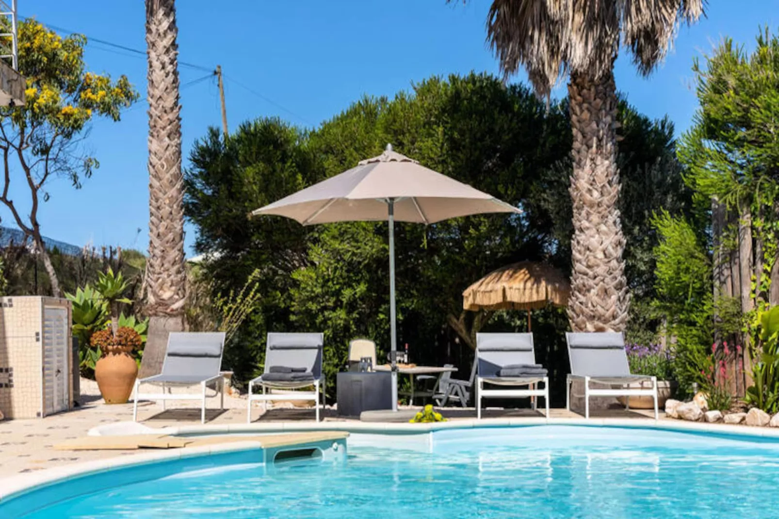 Duas Palmeiras-Nicht zugeordnet