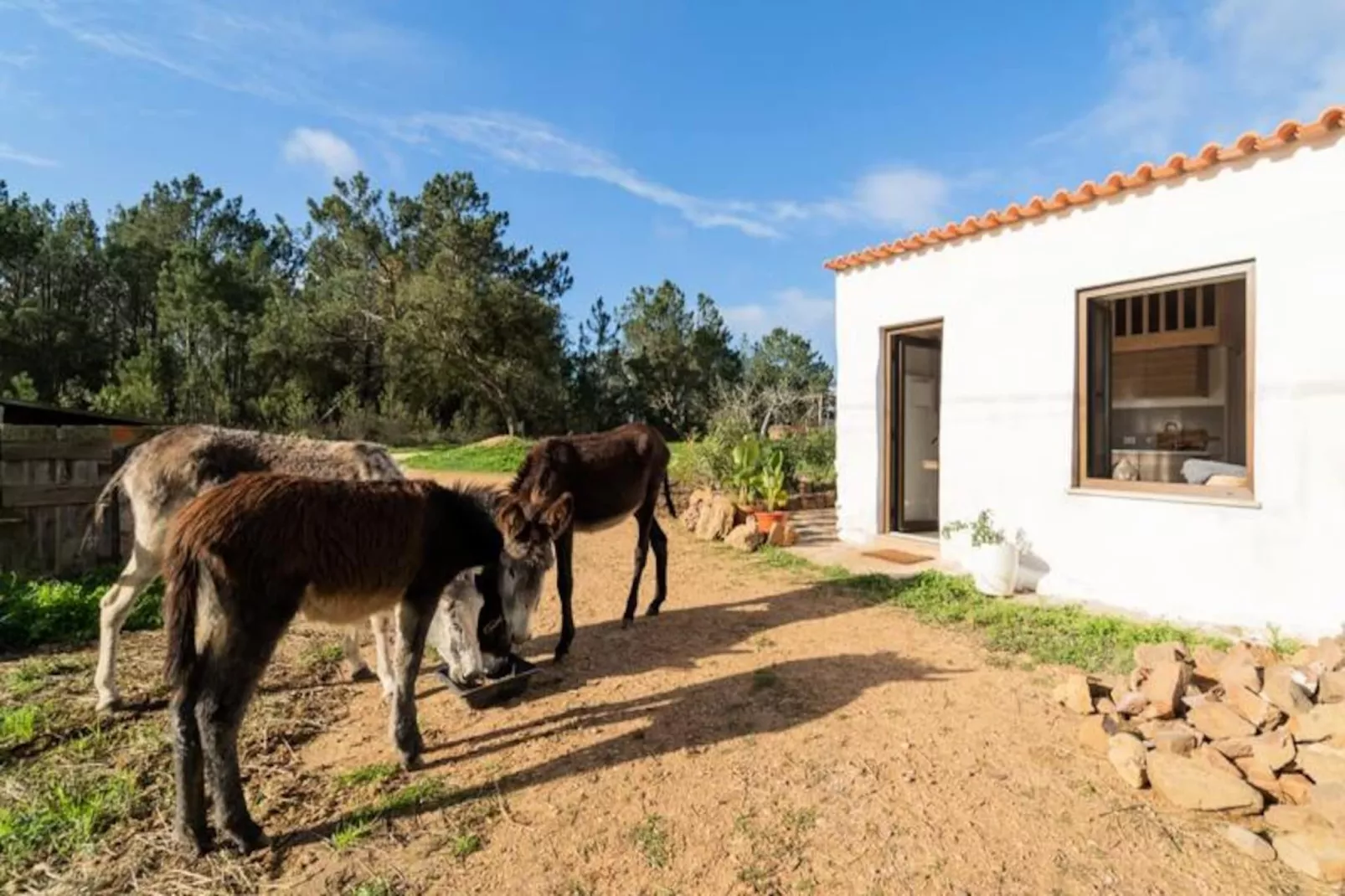 Casinha Da Paz-Untagged