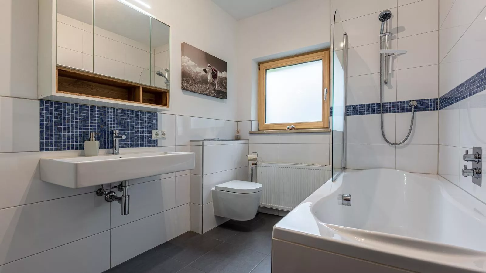 Dorf30-Bathroom