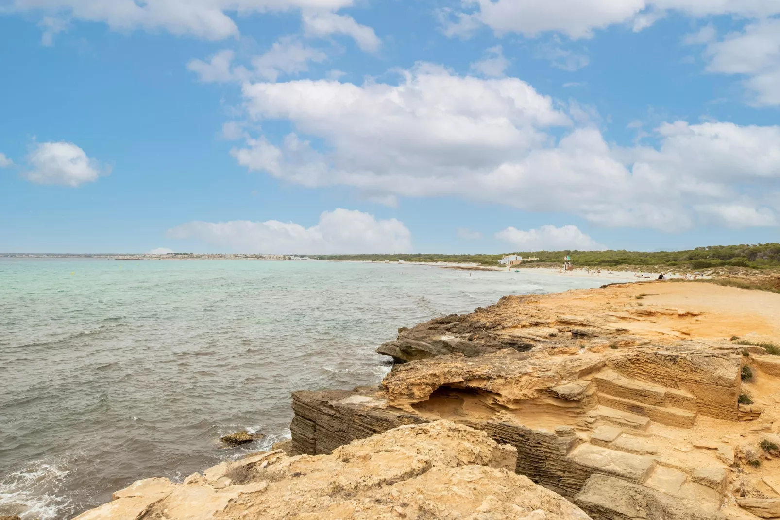 El Taller-Areas within 1km in summer