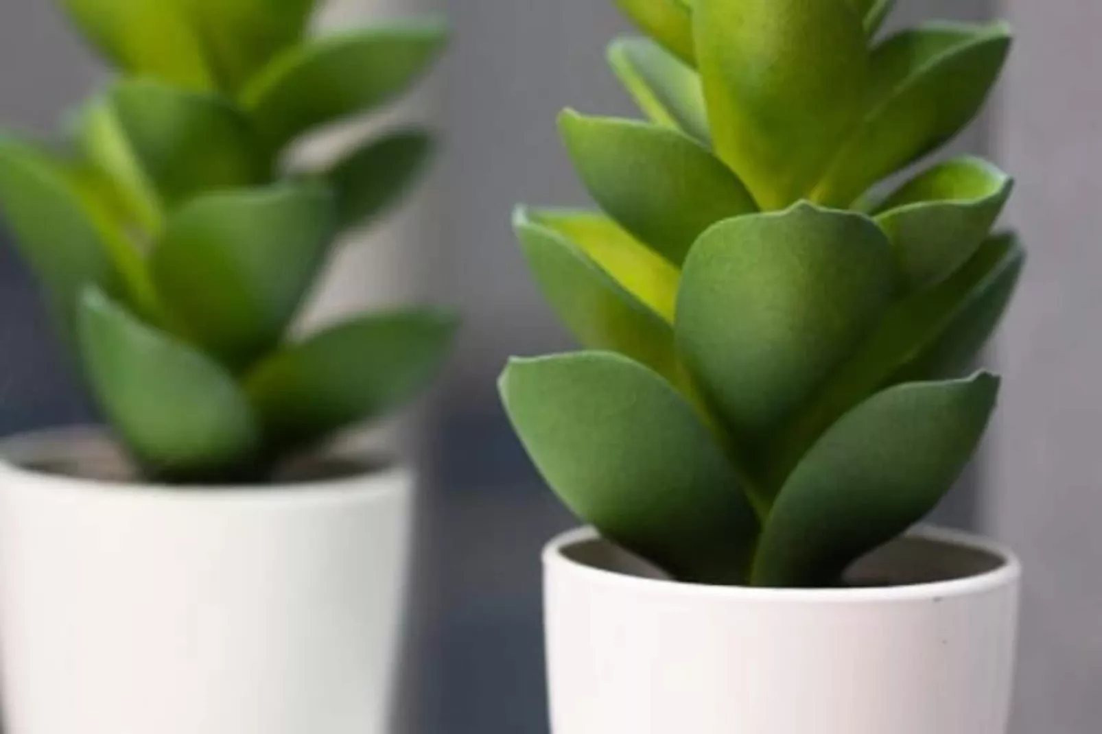 06k2 - Joli Studio Climatisé - Terrasse Vue Mer-Nicht zugeordnet