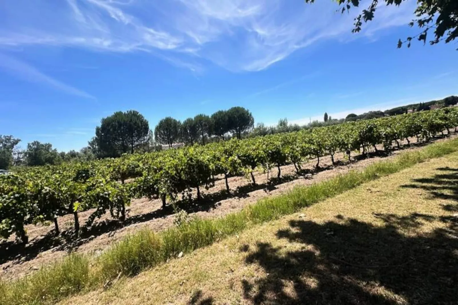 Résidence La Maison De Constance - Charmante Maison Proven&ccedil;ale 3 Chambres-Untagged