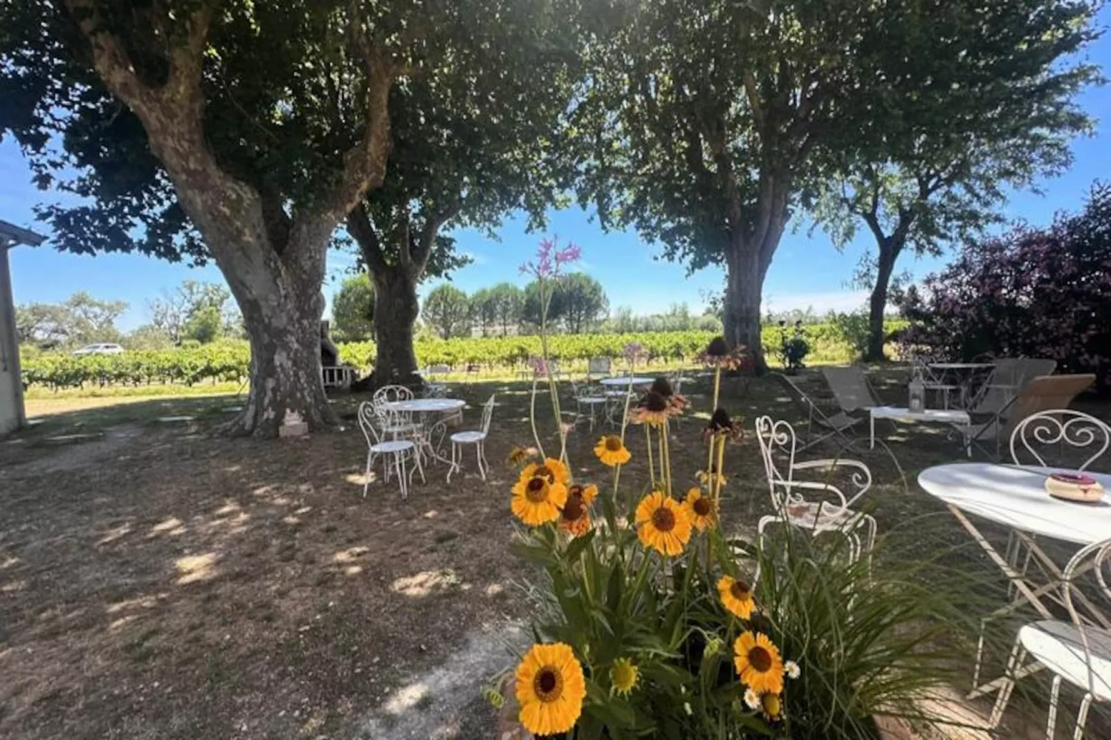 Résidence G&icirc;te Du Mas - Charmant G&icirc;te Proven&ccedil;al Avec Jardin Commun-Untagged