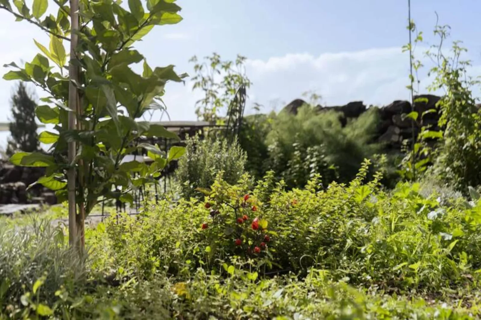 Résidence Quinta Marefe - Sur La Magnifique C&ocirc;te Ouest-Non tagué