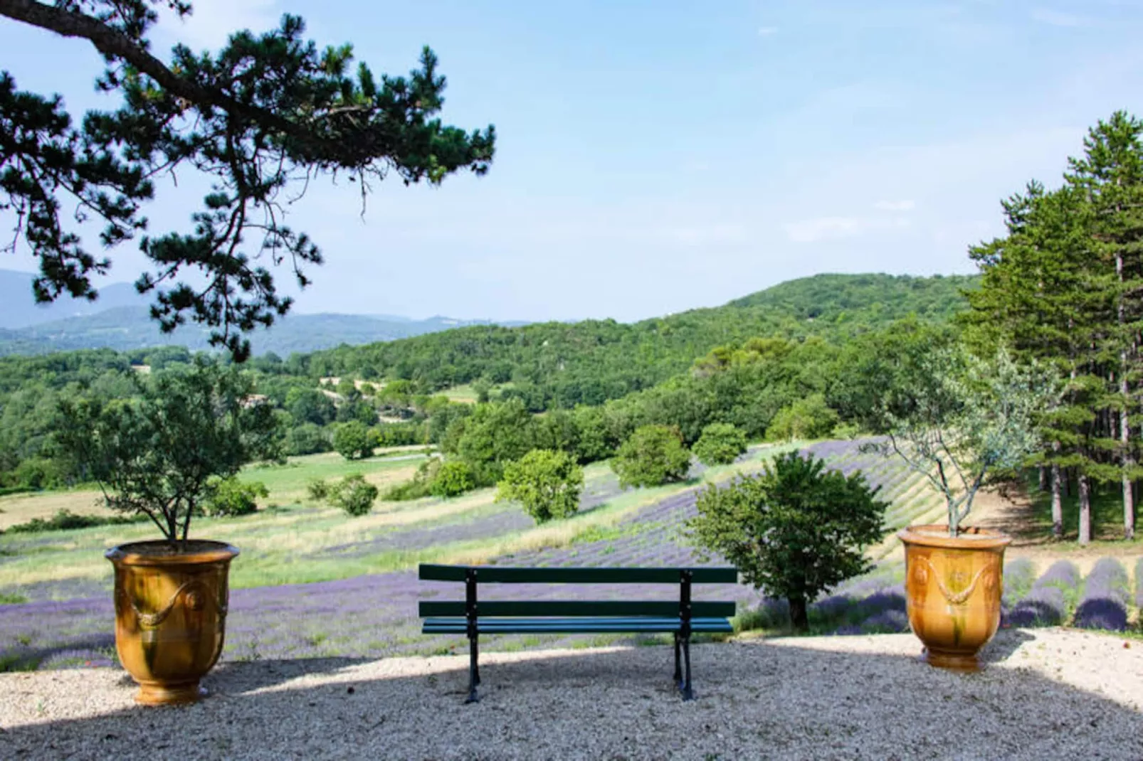 Bastide De L'esclat - Piscine - Champs De Lavandes-Untagged