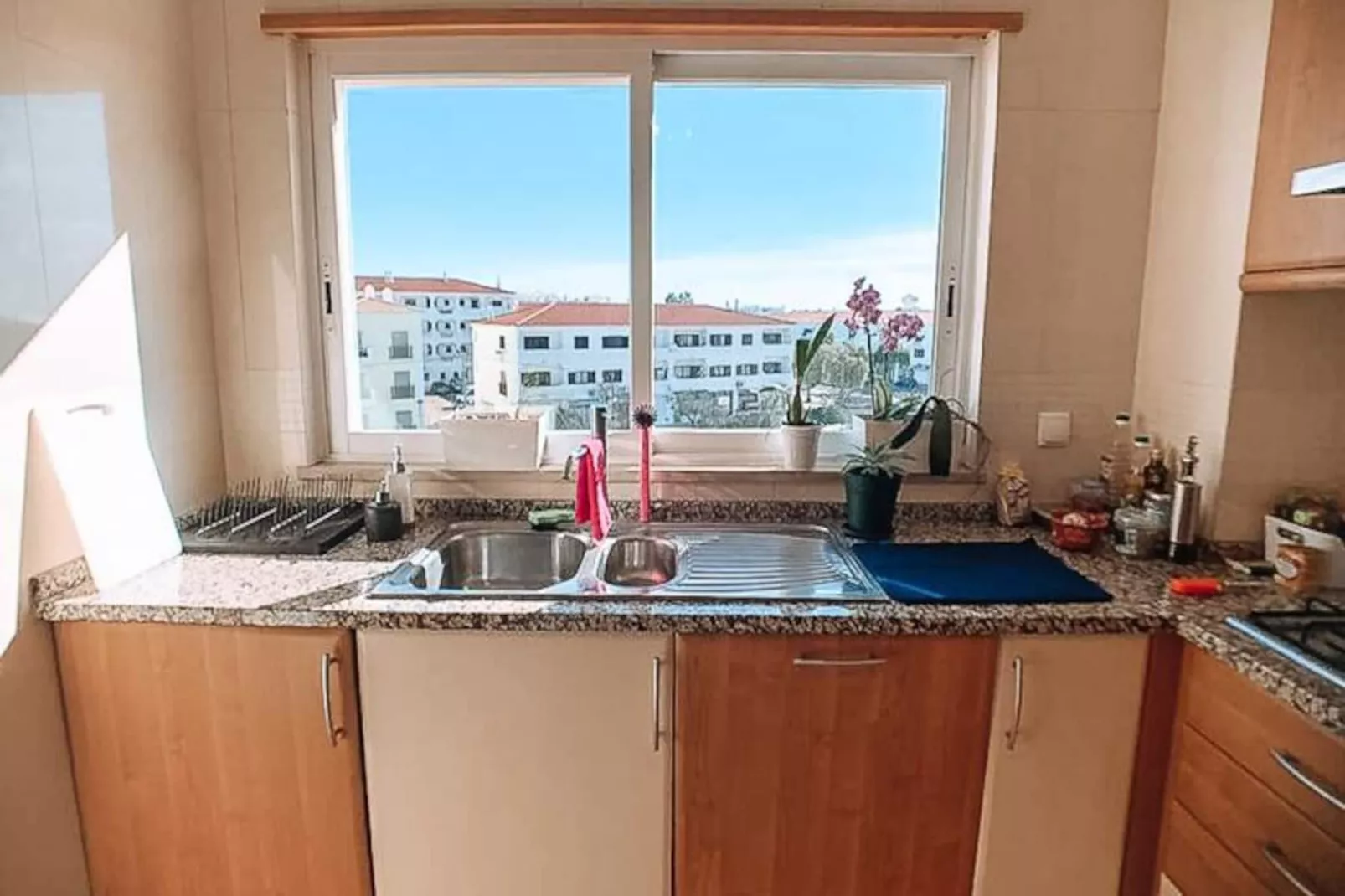 Plant Paradise Apartment-Nicht zugeordnet