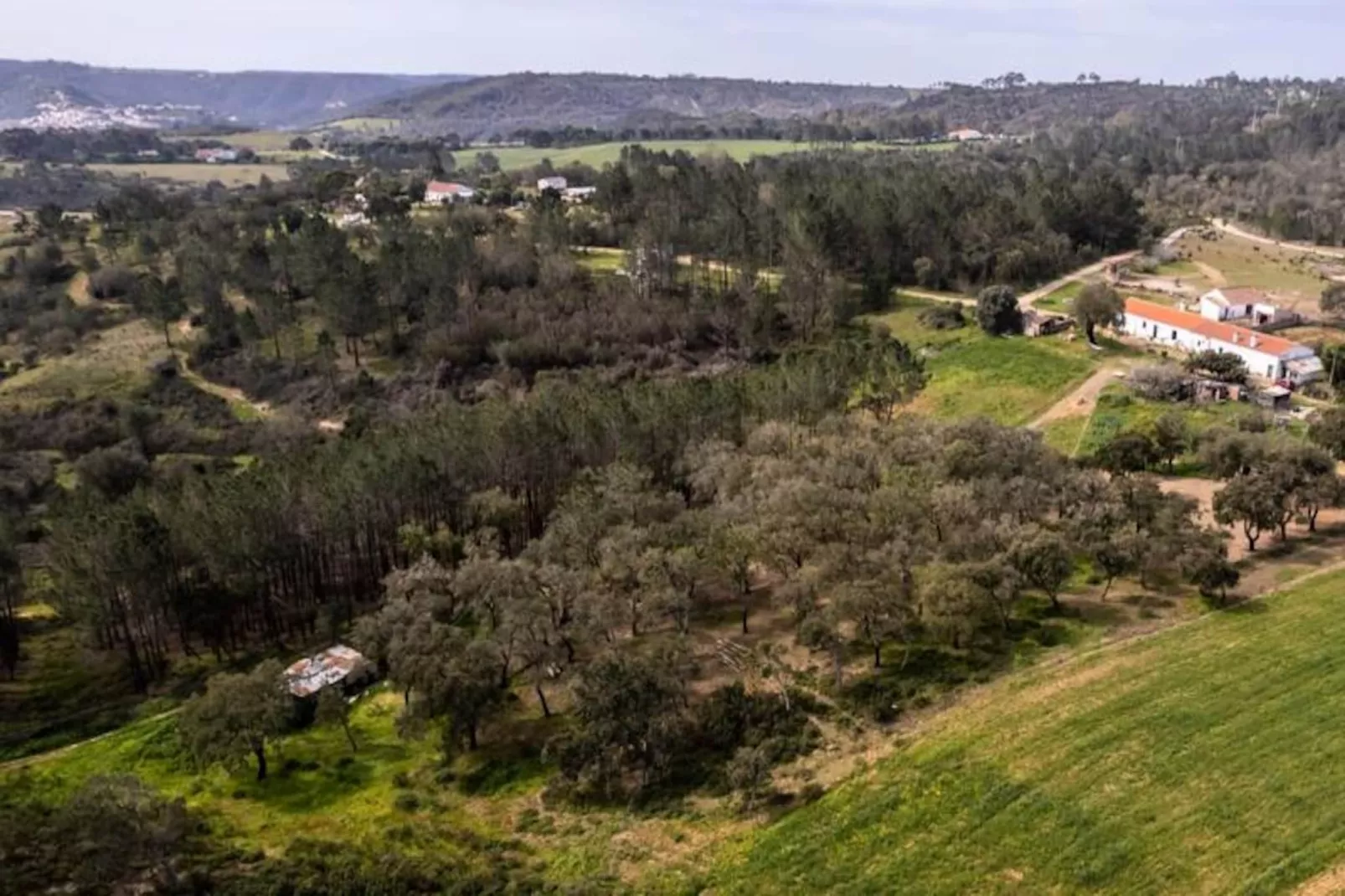 Casinha Da Paz-Untagged