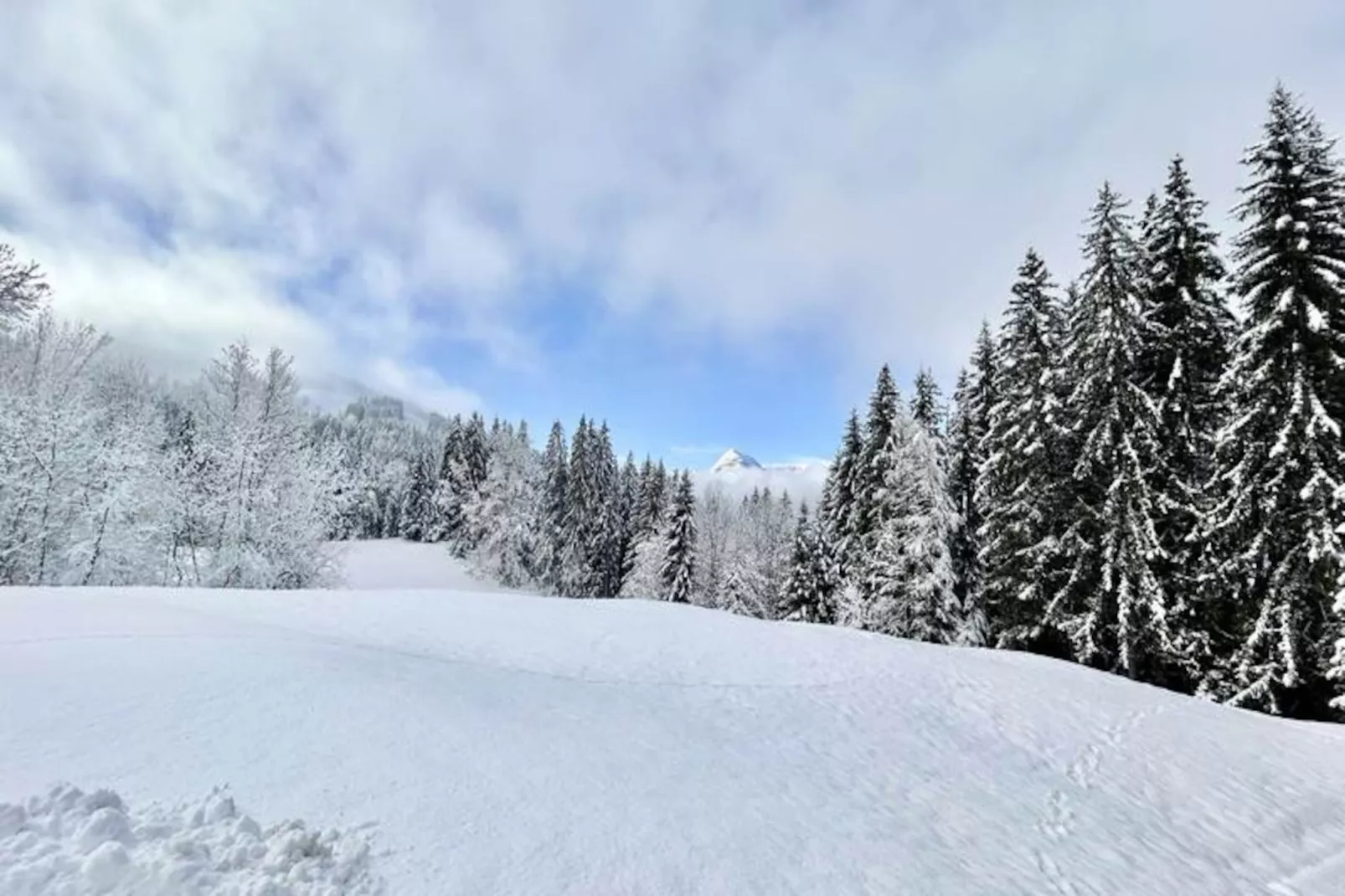 Chalet Varni-Non tagué