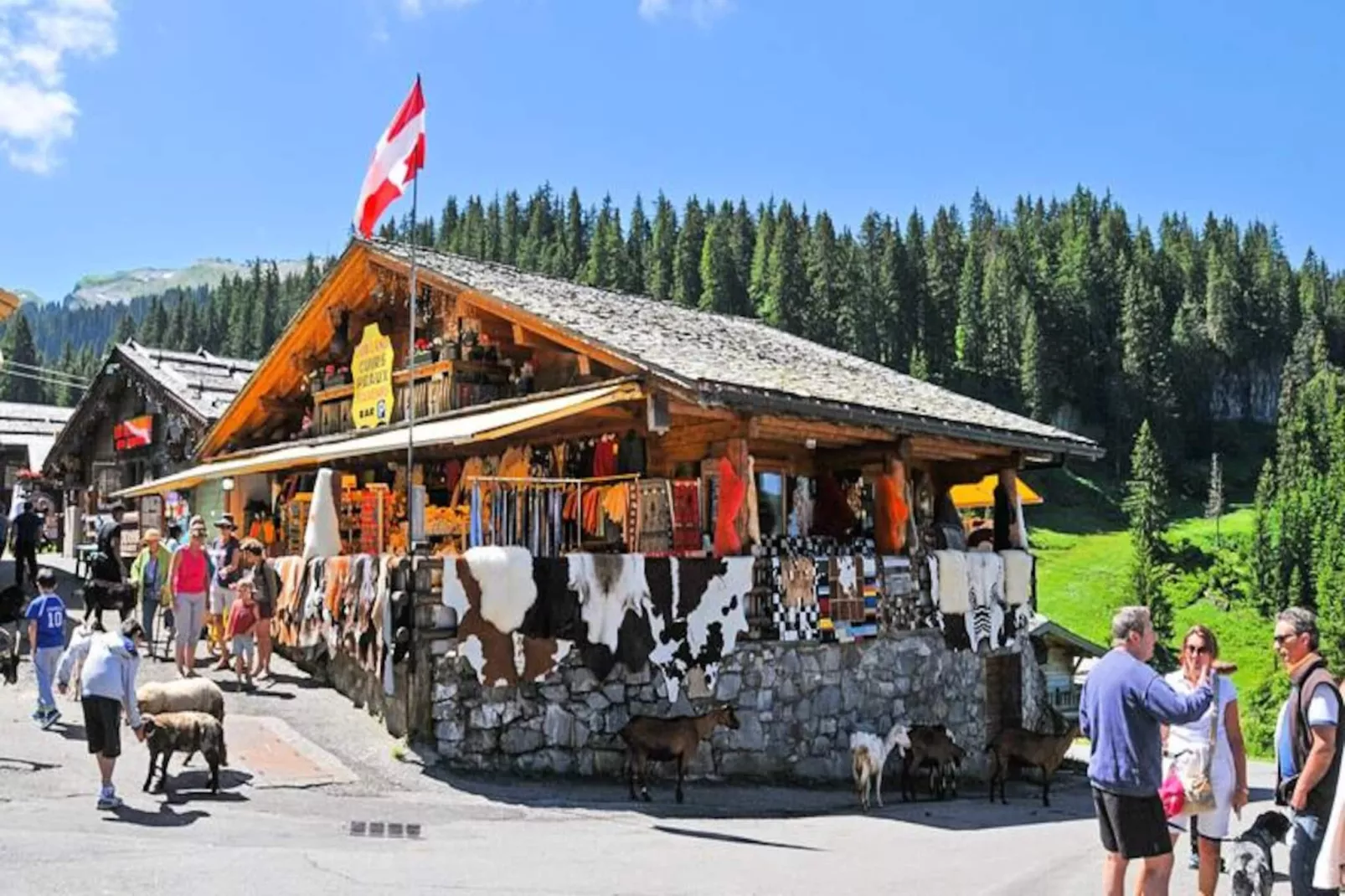 AlpChalets Portes du Soleil *****-Non tagué