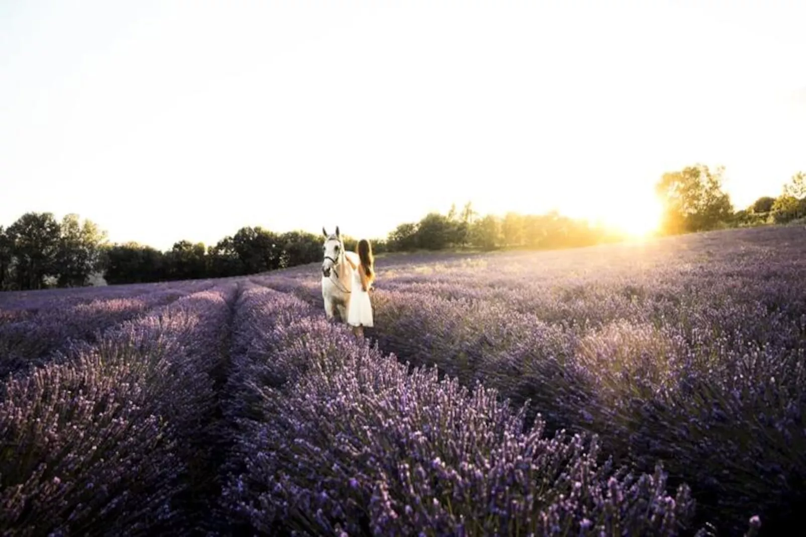 Loft En Pierre | Domaine Paradis-Untagged