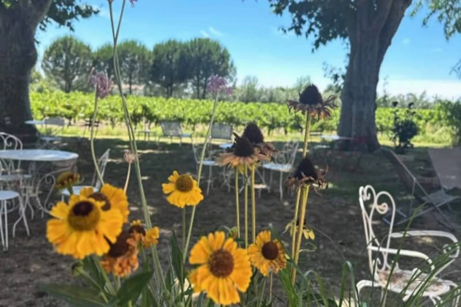 Résidence G&icirc;te De La Cave - Charmant G&icirc;te Proven&ccedil;al Avec Une Chambre-Untagged