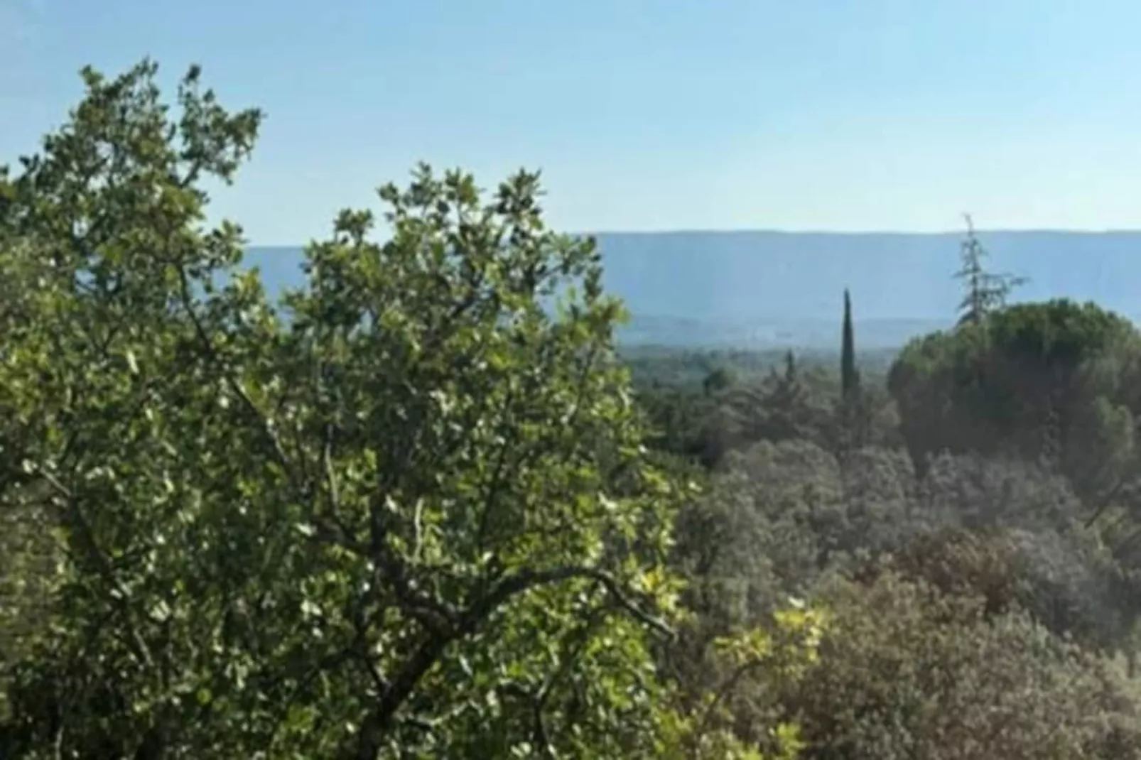 "les Campanettes" : Superbe Mas En Provence-Untagged