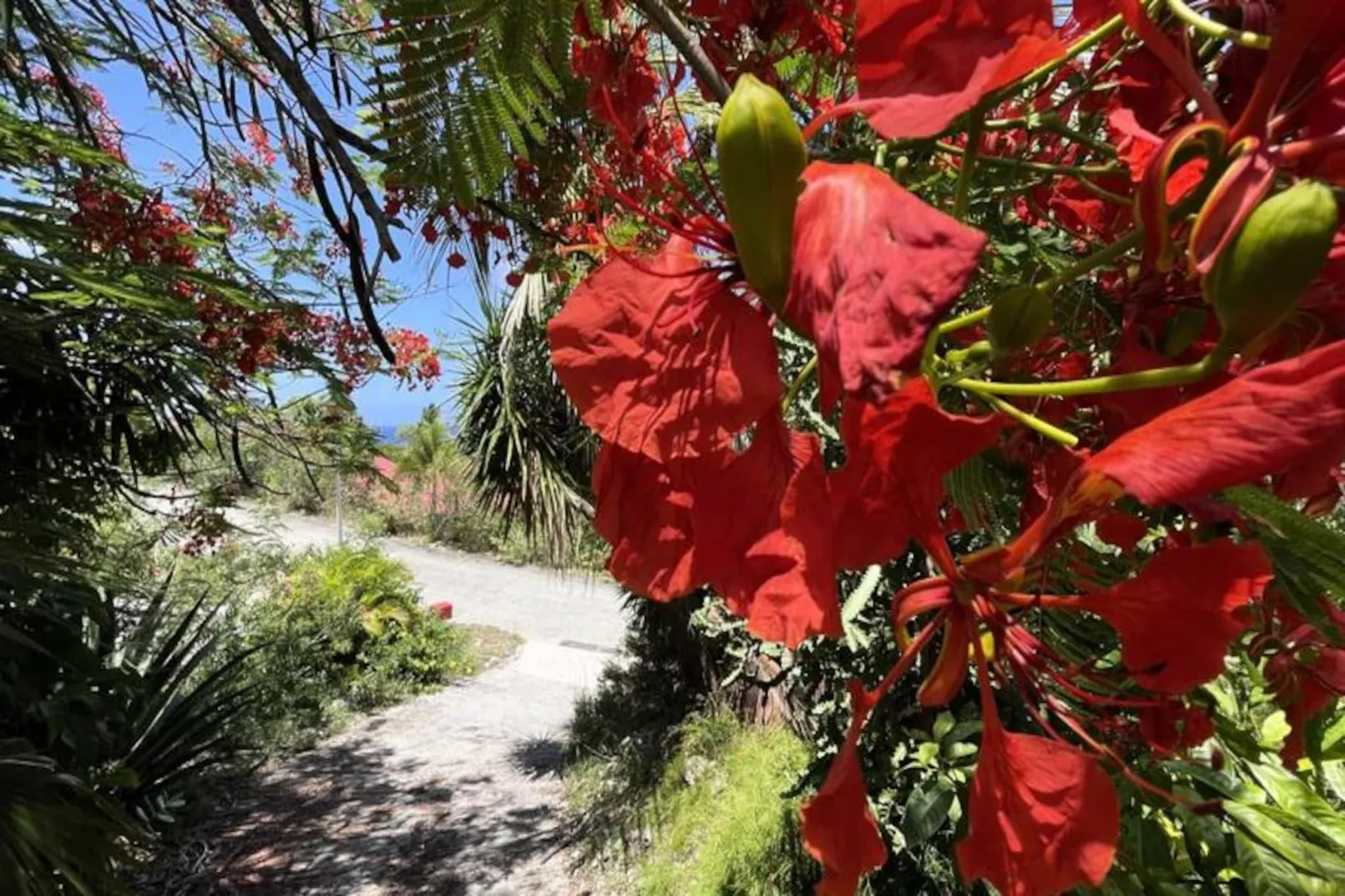 Villa Calico - Untagged