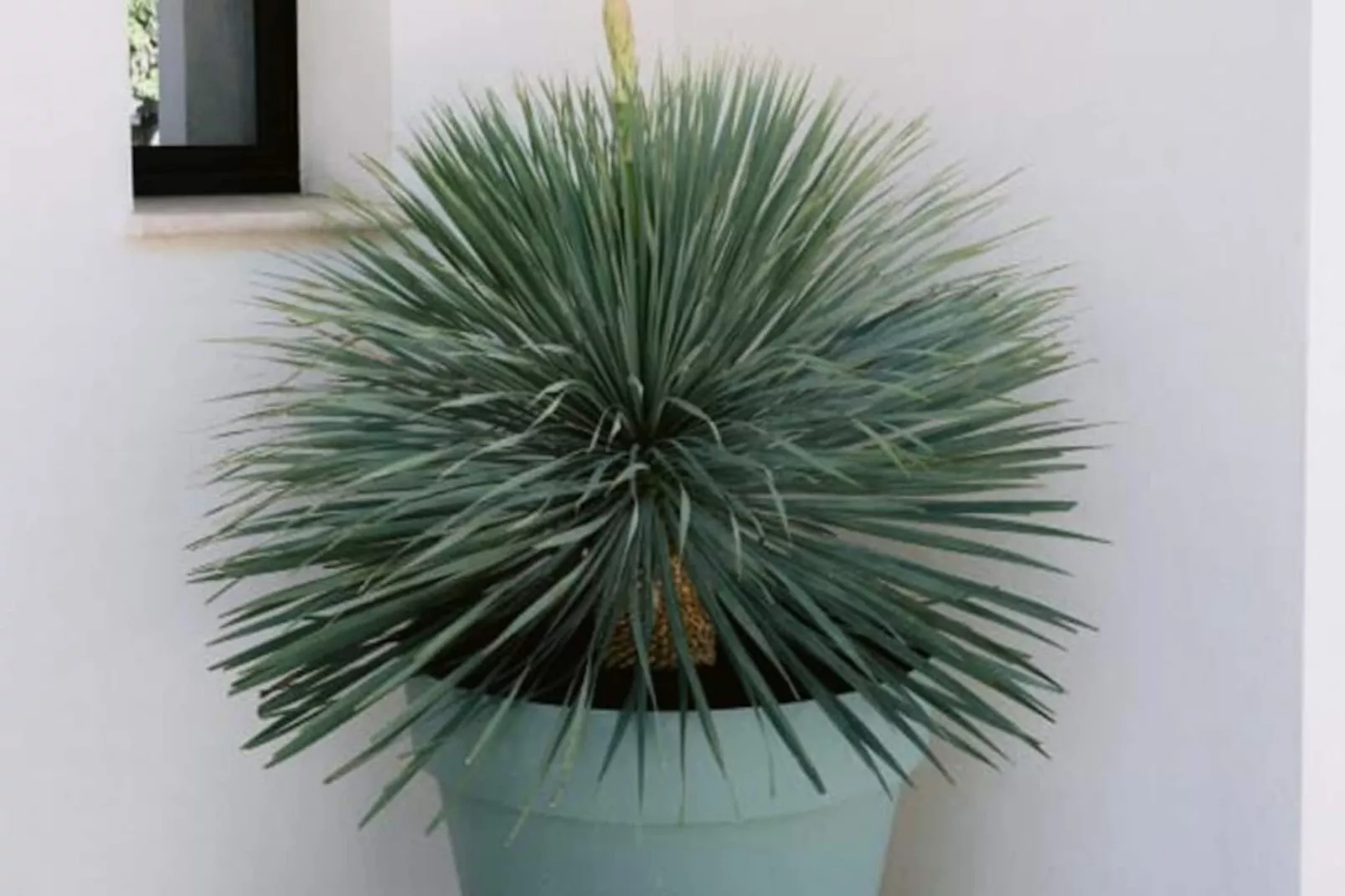 Résidence La Perle Rose Villa Standing 5 &eacute;toiles Avec Piscine Jacuzzi Et Superbe Vue-Nicht zugeordnet