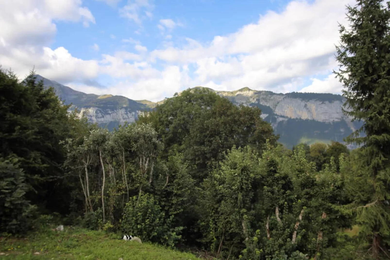 Chalets à Les Carroz-d'Arâches-Untagged