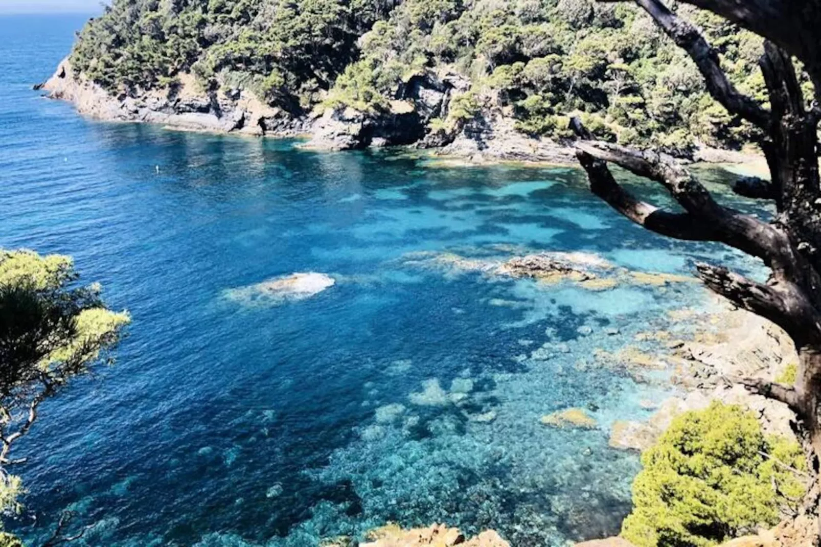 Résidence La Tancade-hyeres-Untagged