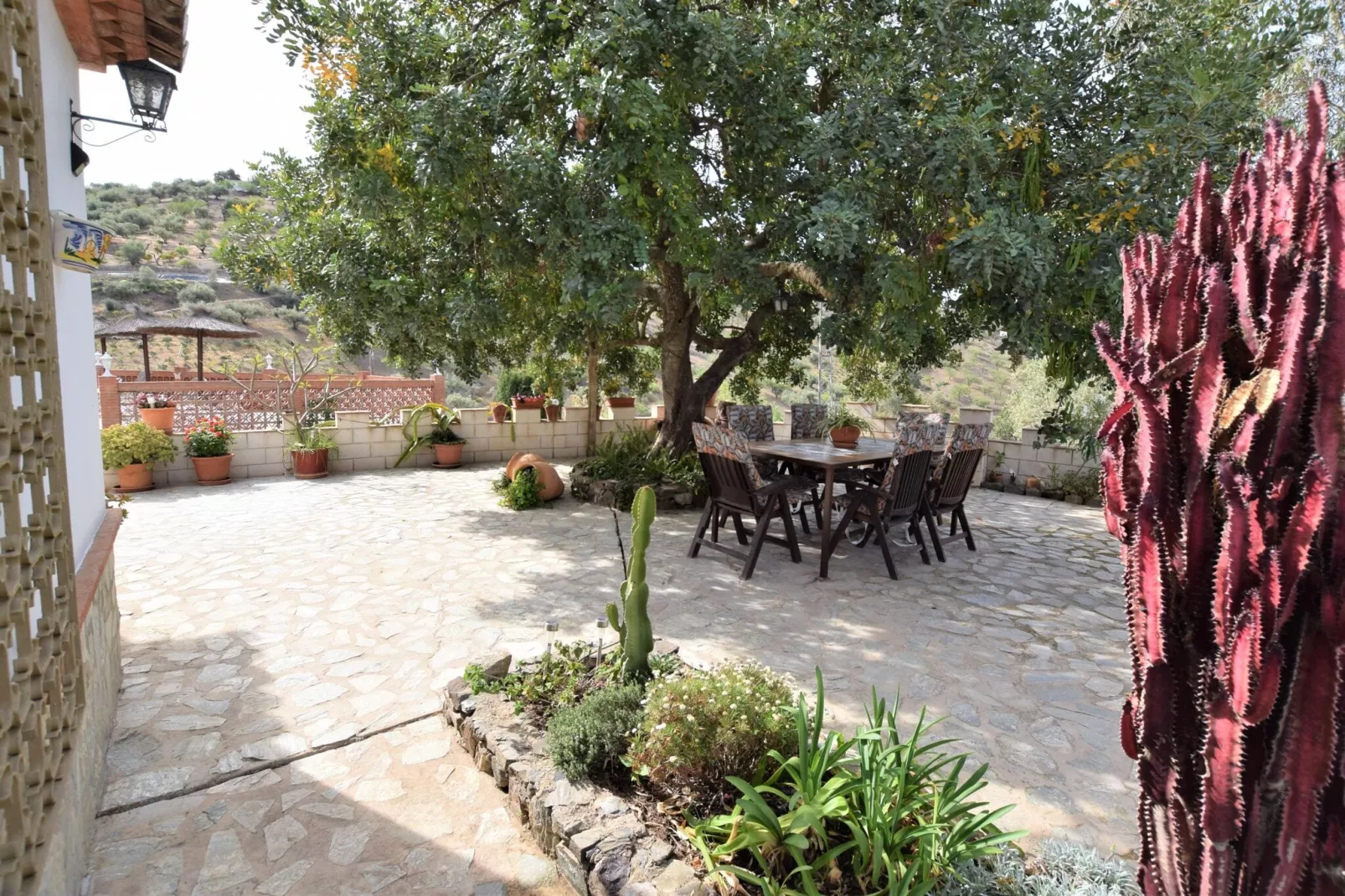 Villa Mariposa-Jardin d'été