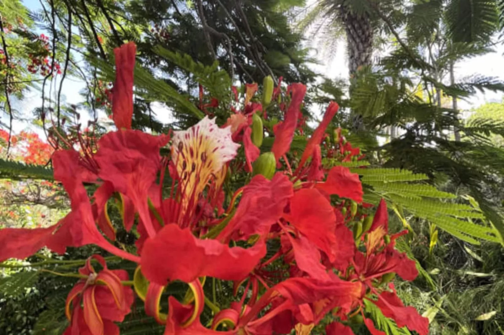 Villa Calico - Untagged