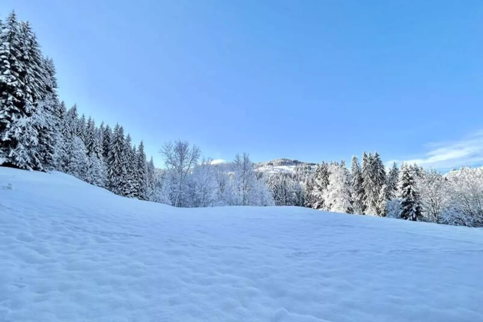 Chalet Varni-Non tagué