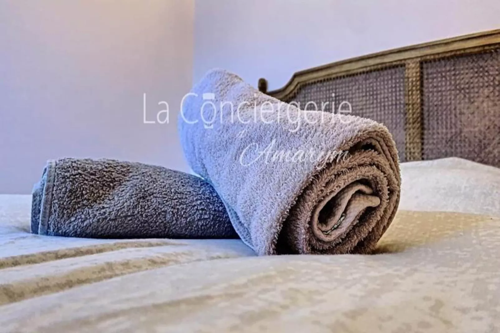 Résidence Aa13 - Le Victor Hugo - S&eacute;jour D&rsquo;exception Dans Un Appartement Historique-Untagged