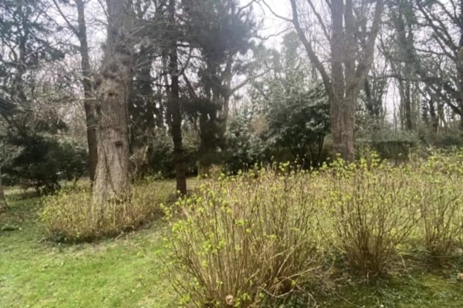 Résidence Bg32 - Mer & Bois De Cise.. Maison Individuelle Avec Grand Jardin-Non tagué