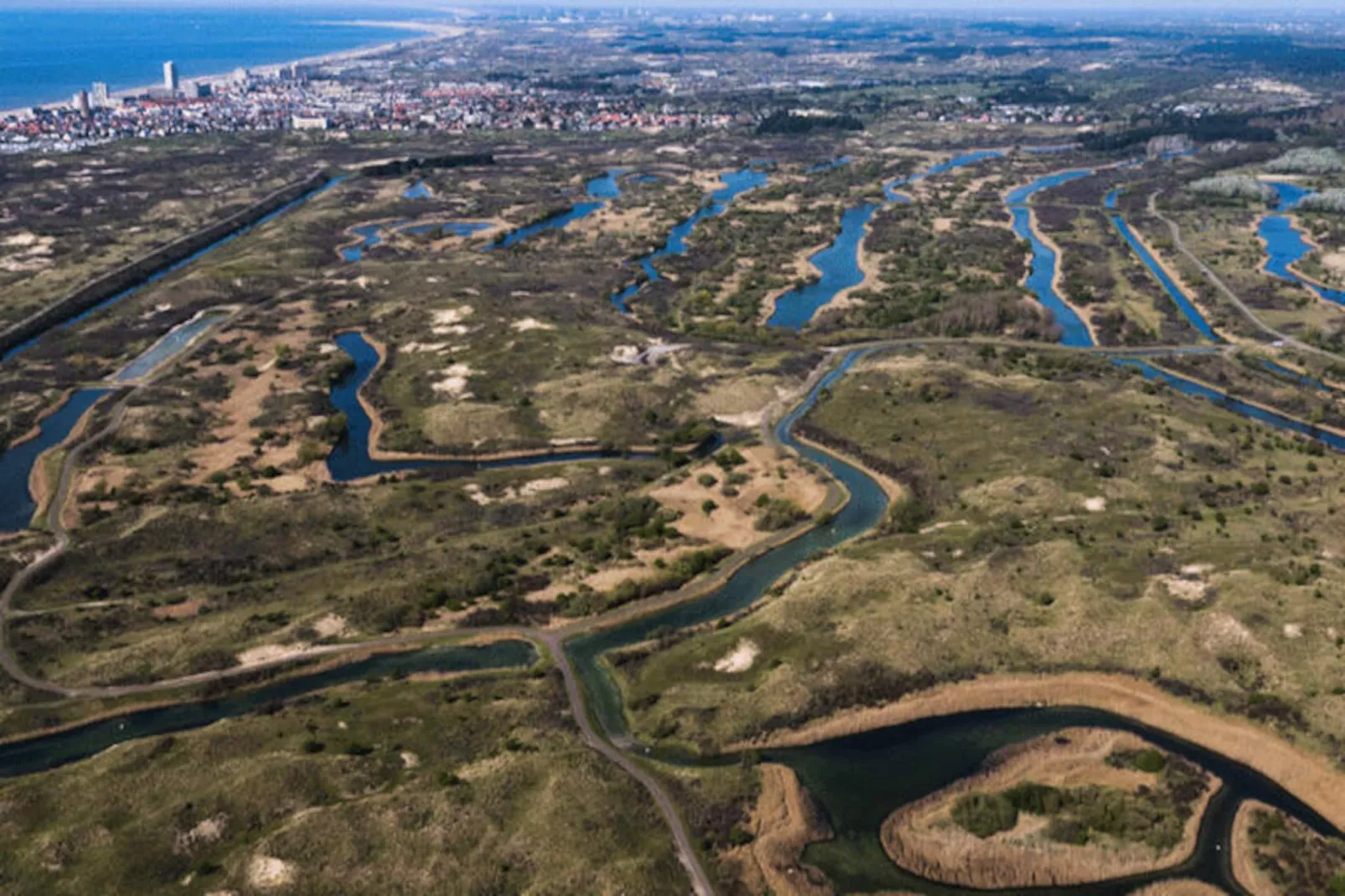 Oasis Zandvoort - Parking Gratuit-Non tagué