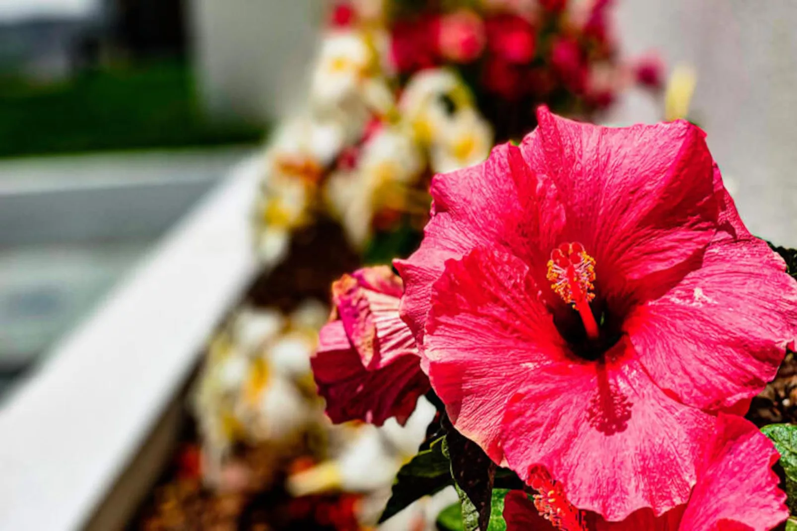 Andorinhas Espartal T3-Nicht zugeordnet