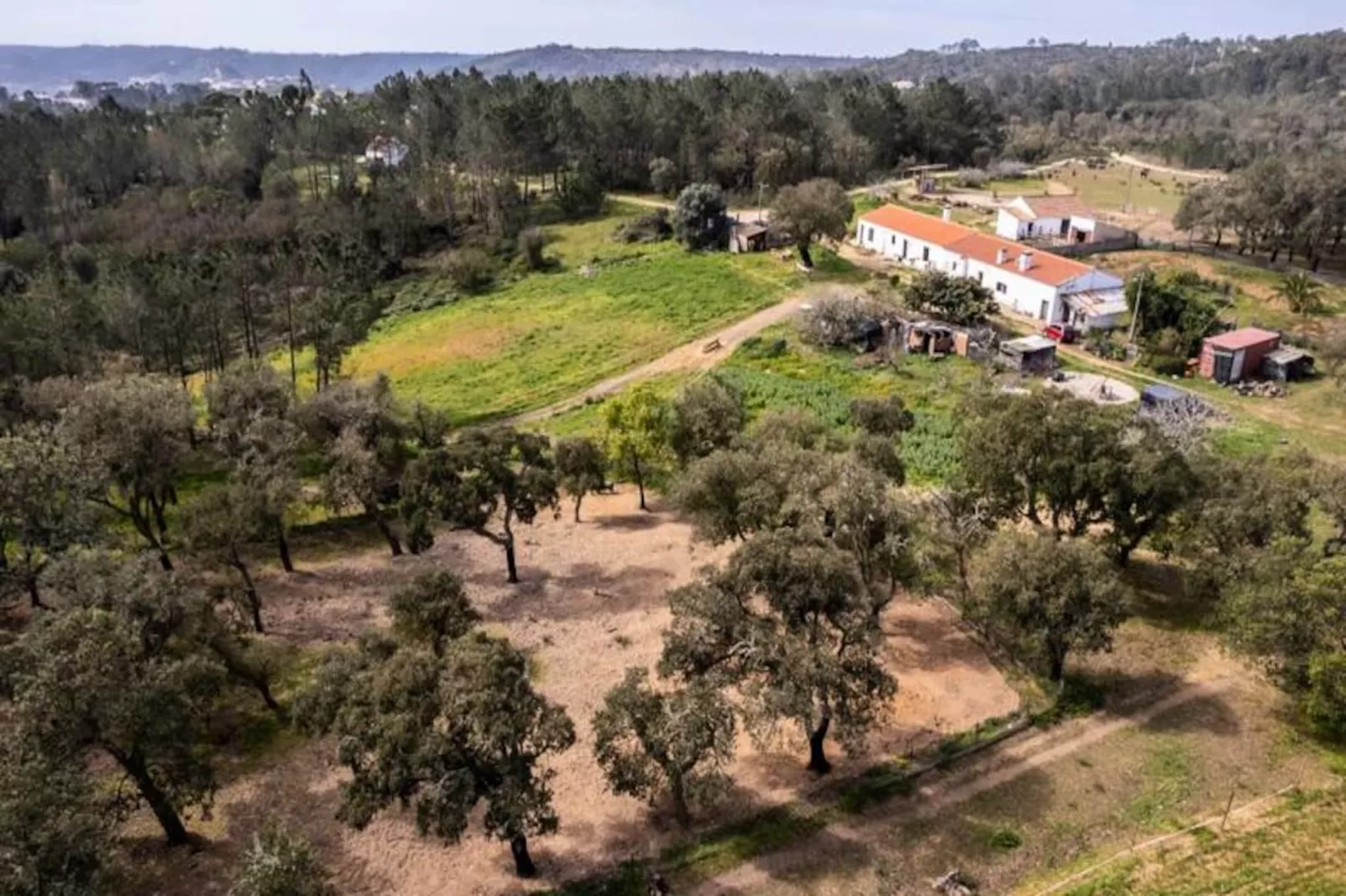 Casinha Da Paz-Untagged