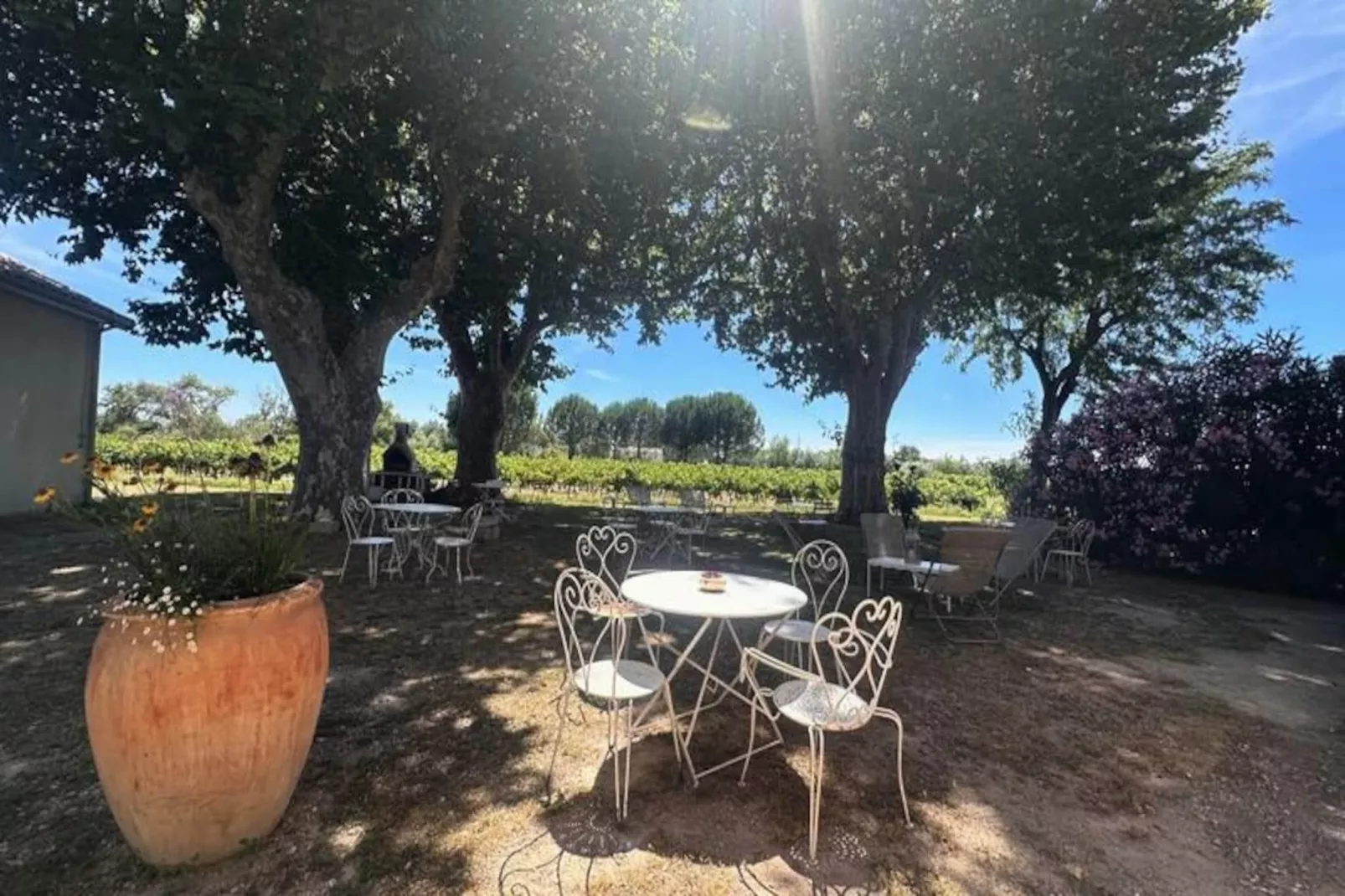 Résidence La Maison De Constance - Charmante Maison Proven&ccedil;ale 3 Chambres-Untagged