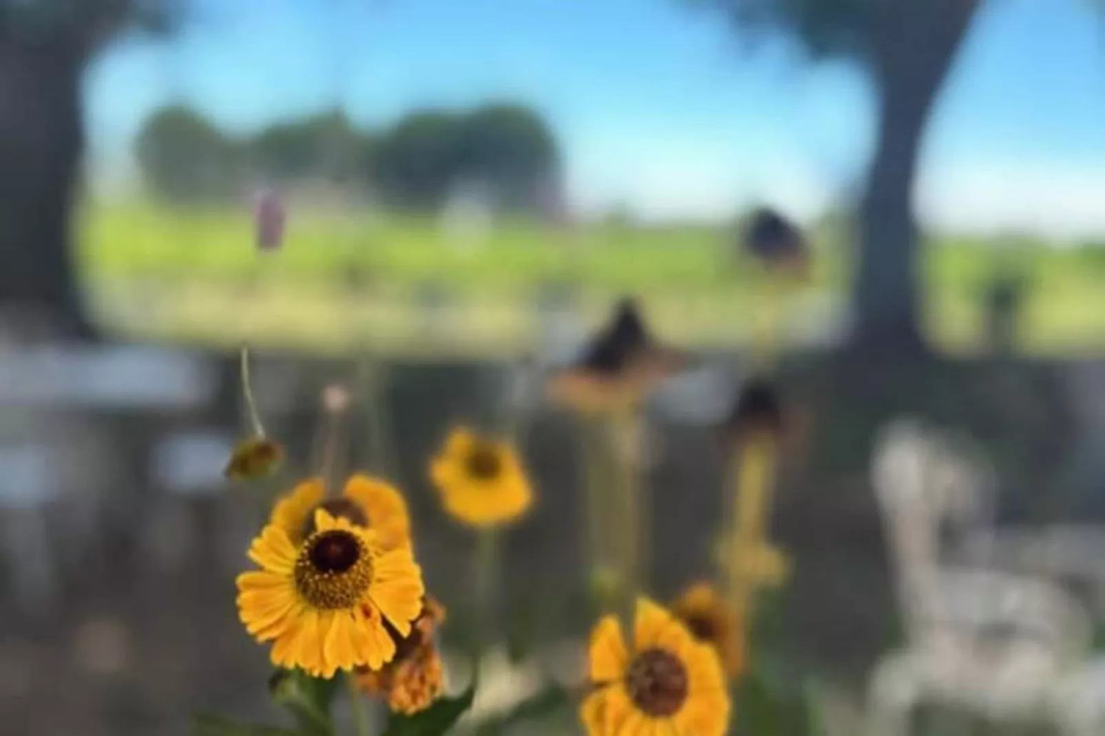 Résidence G&icirc;te De La Cave - Charmant G&icirc;te Proven&ccedil;al Avec Une Chambre-Untagged