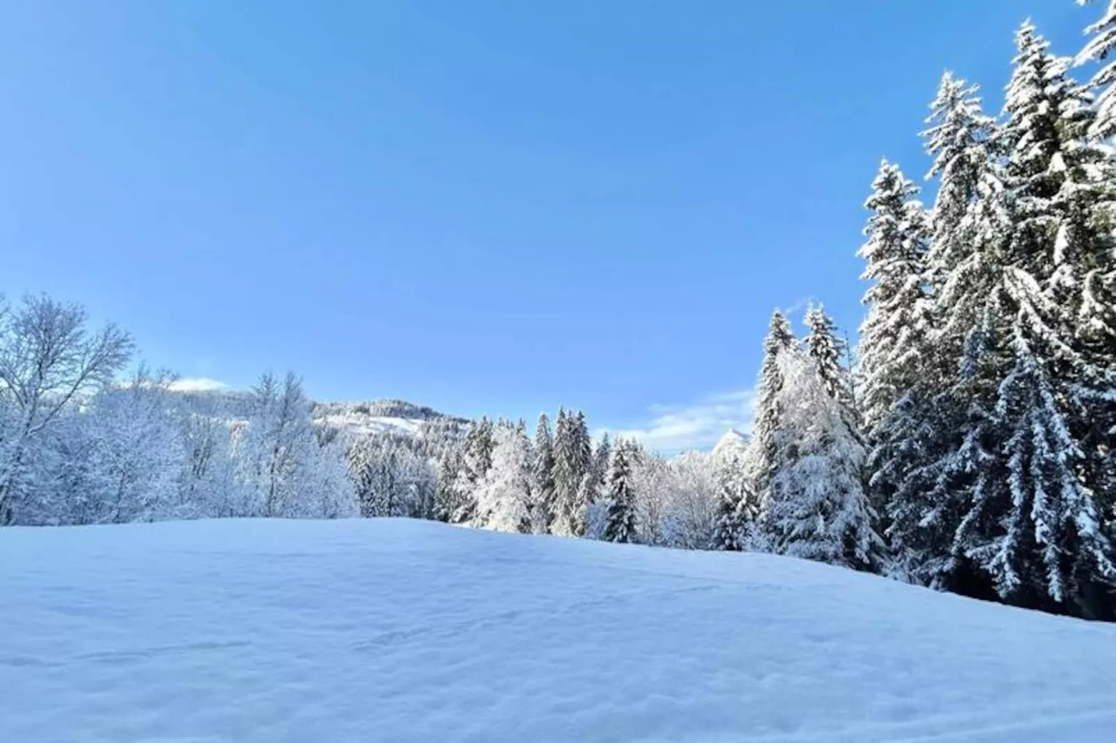Chalet Varni-Non tagué