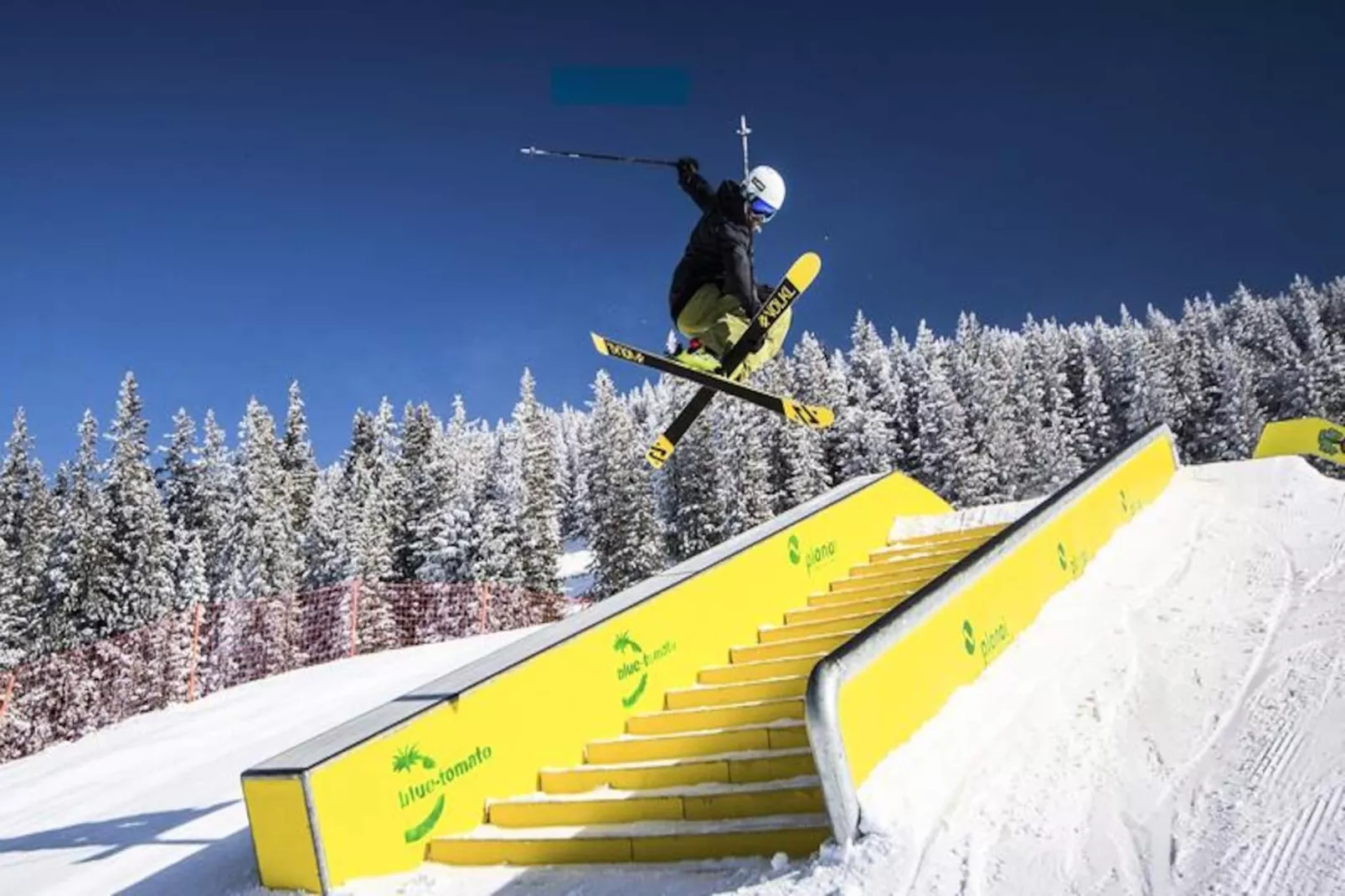 AlpChalets Portes du Soleil *****-Non tagué