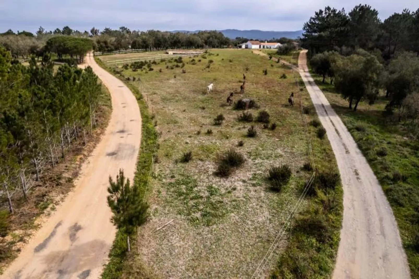 Casinha Da Paz-Untagged