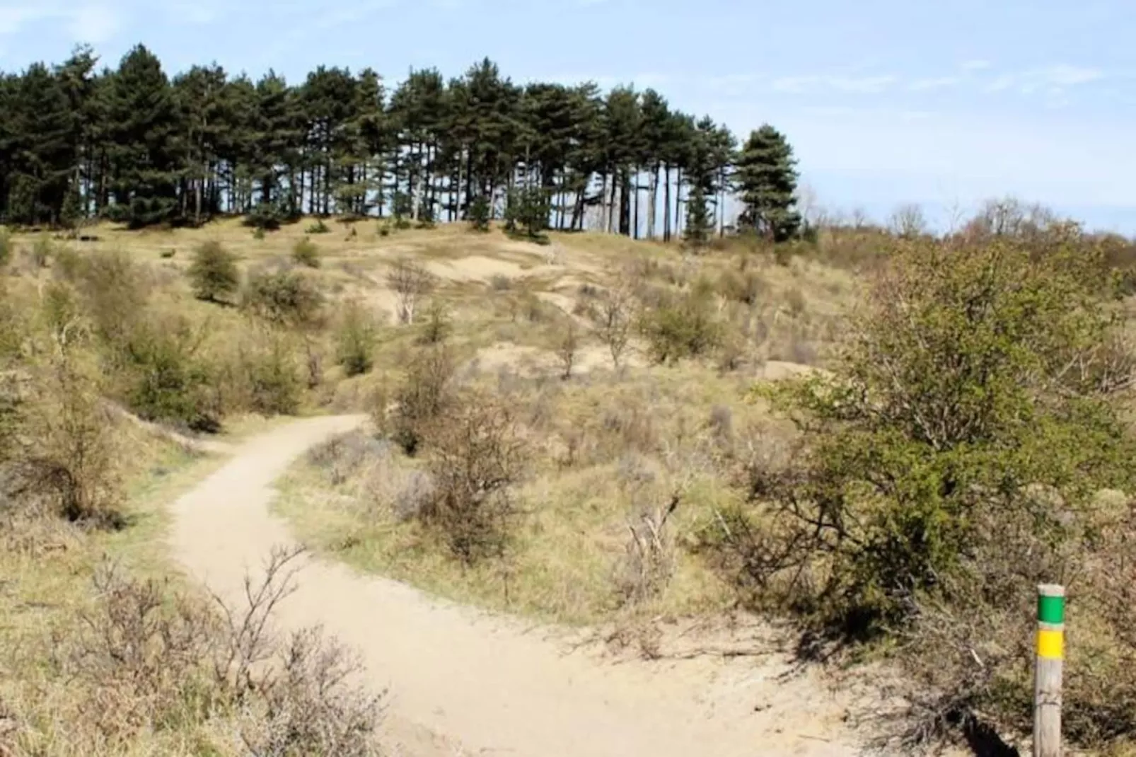 Oasis Zandvoort - Parking Gratuit-Non tagué