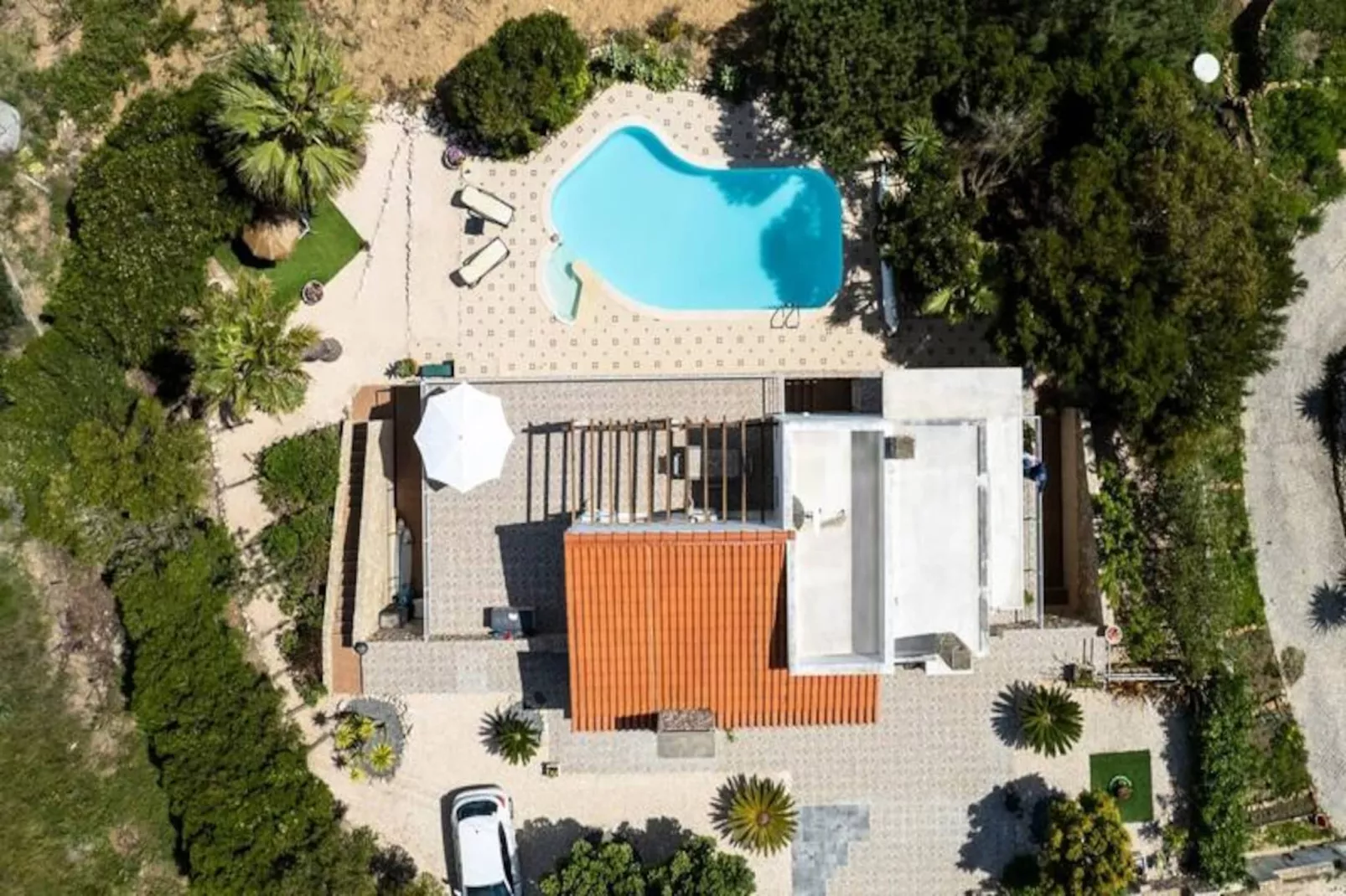 Duas Palmeiras-Nicht zugeordnet