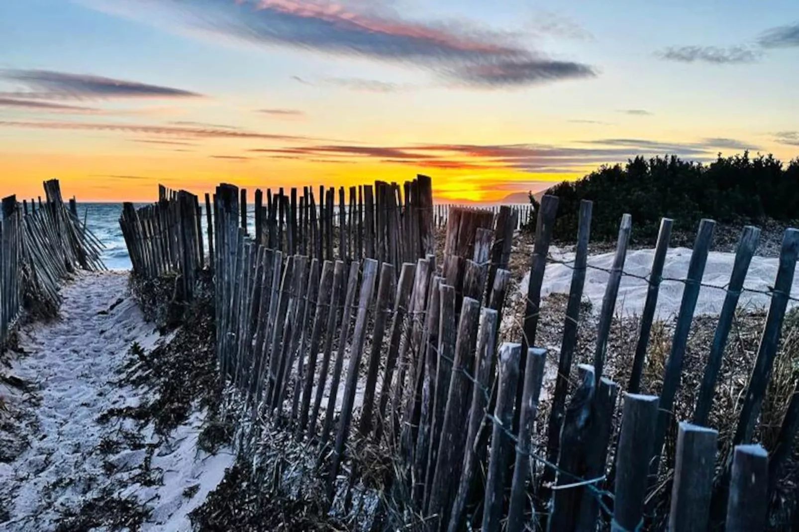 Résidence La Tancade-hyeres-Untagged