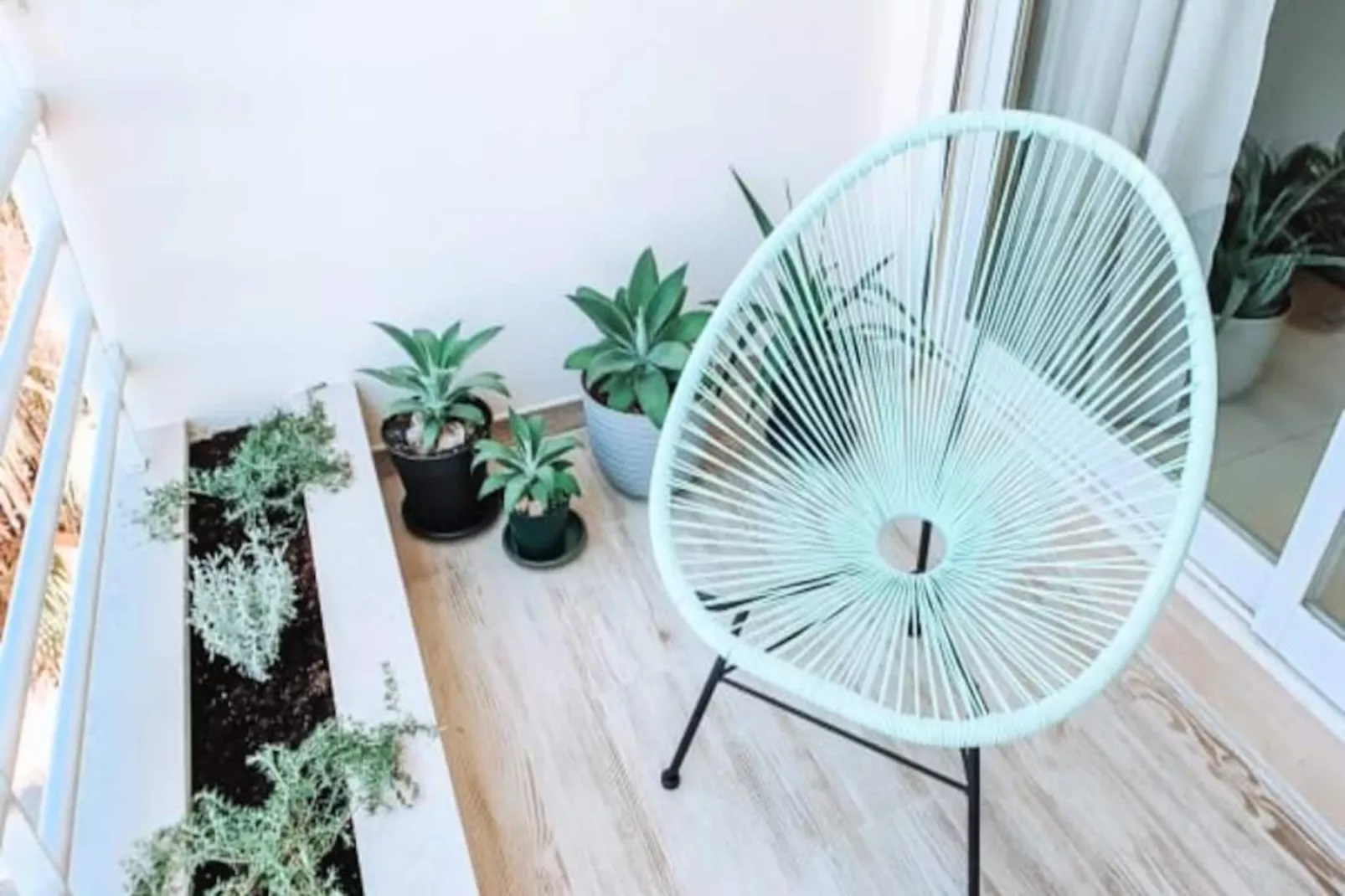 Plant Paradise Apartment-Nicht zugeordnet