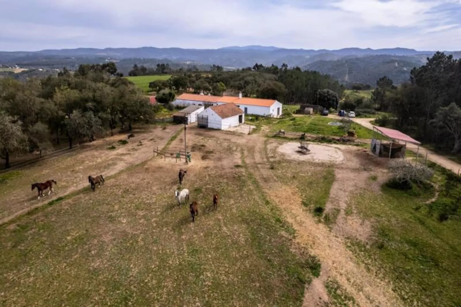 Casinha Da Paz-Untagged