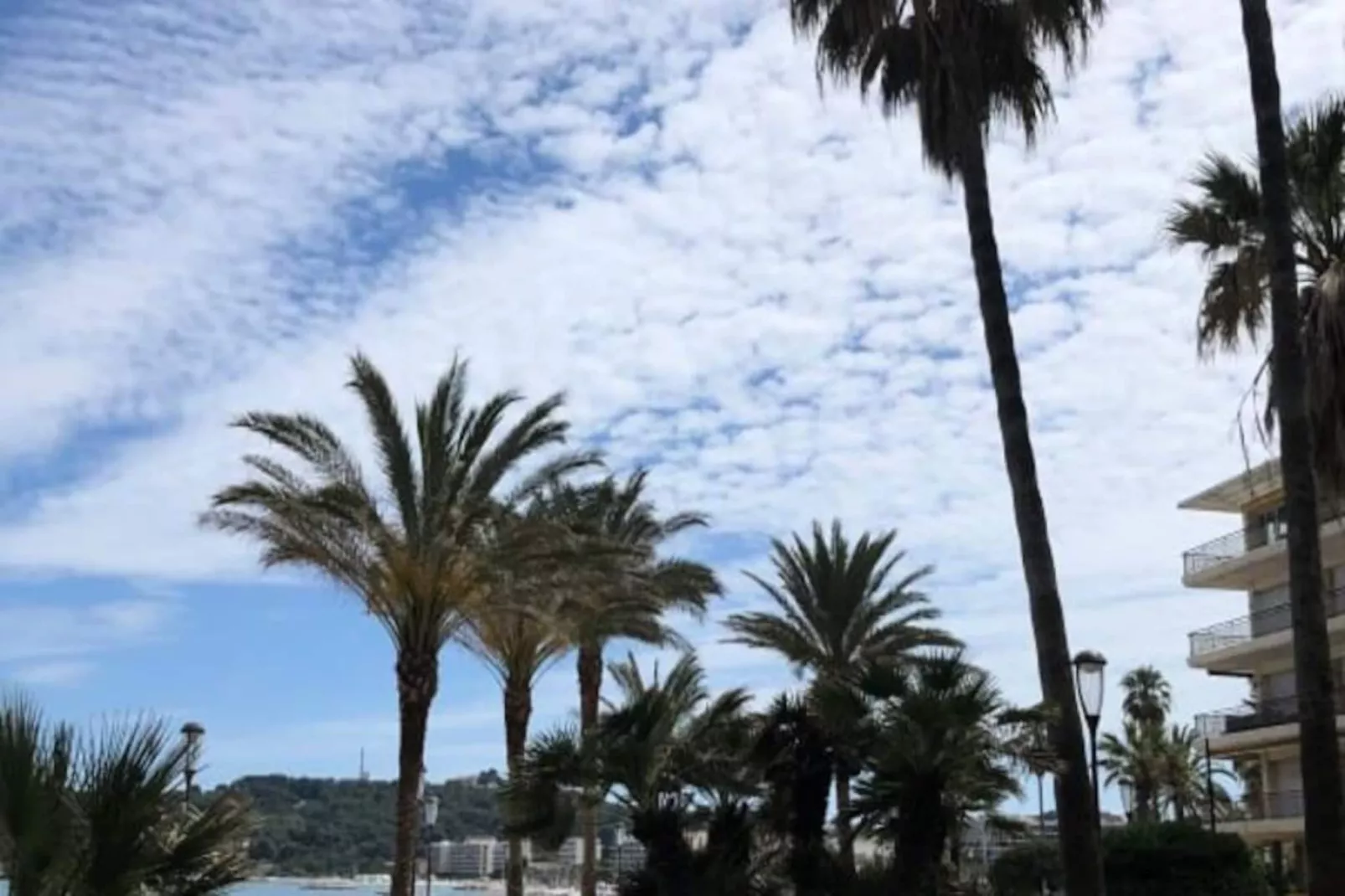 Centre Lumineux Appartement T3 6 P Terrasse Wifi Pkg Clim-Non tagué