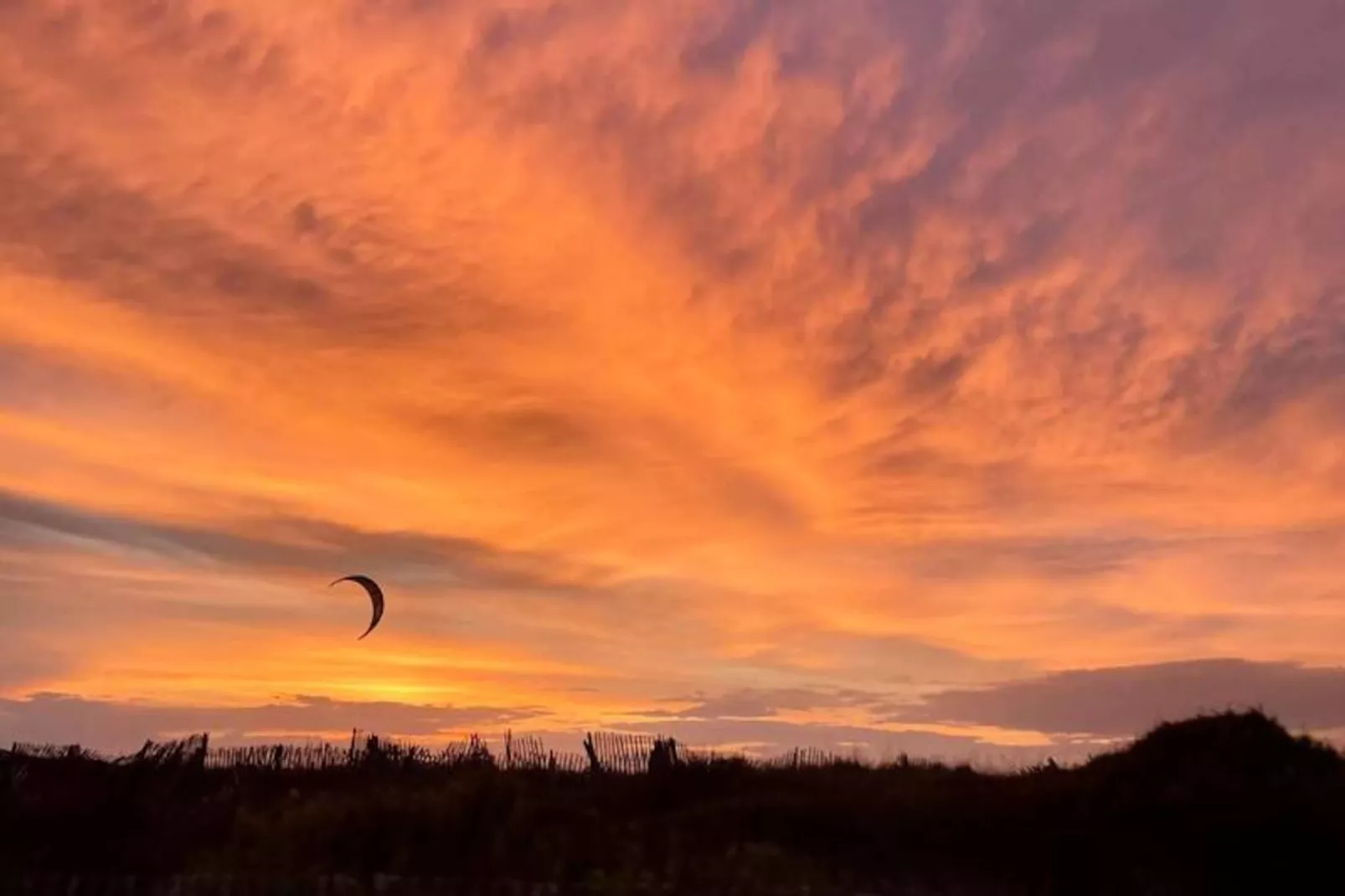 Résidence La Tancade-hyeres-Untagged