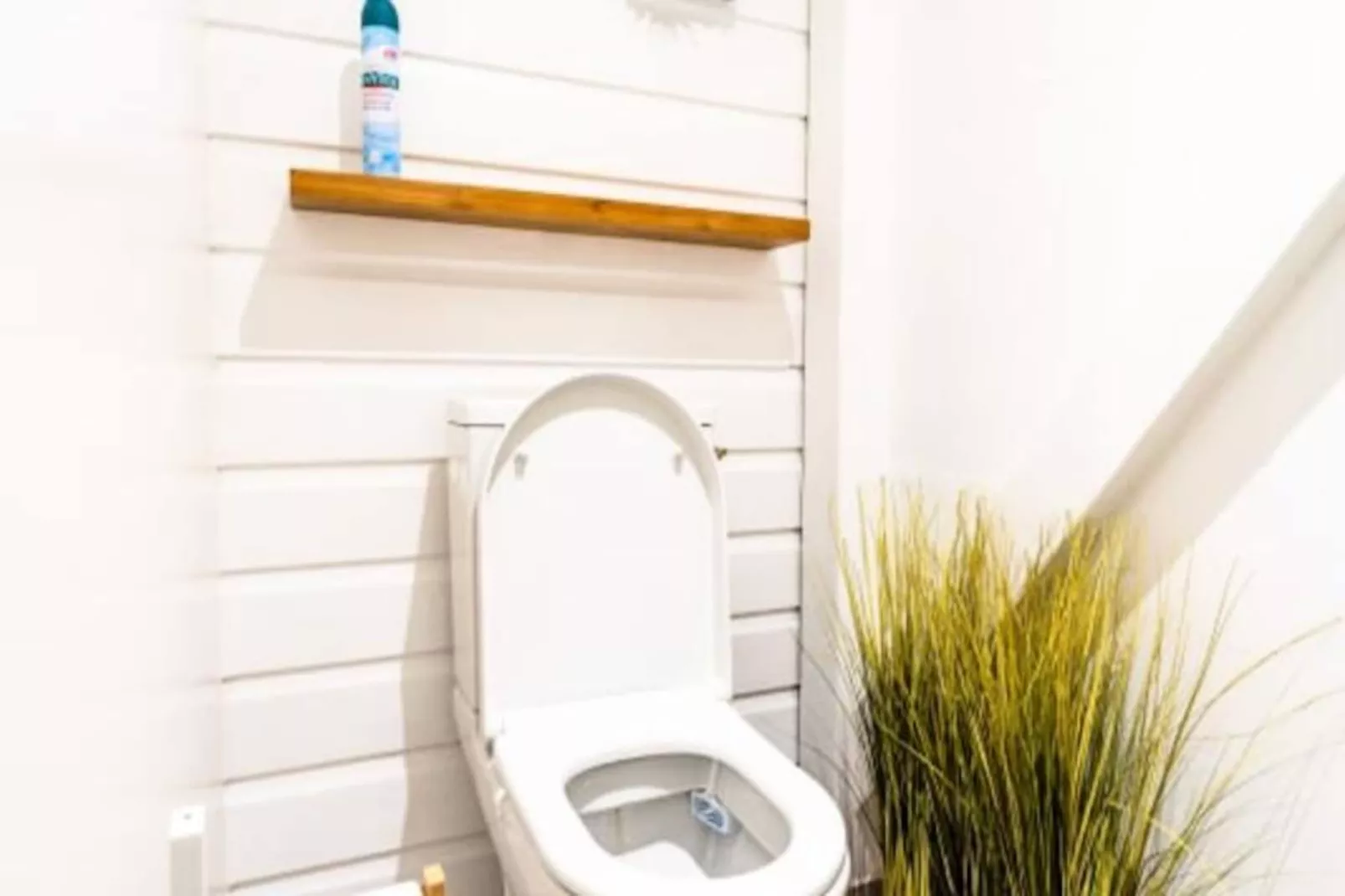 Villa Moca - Non tagué