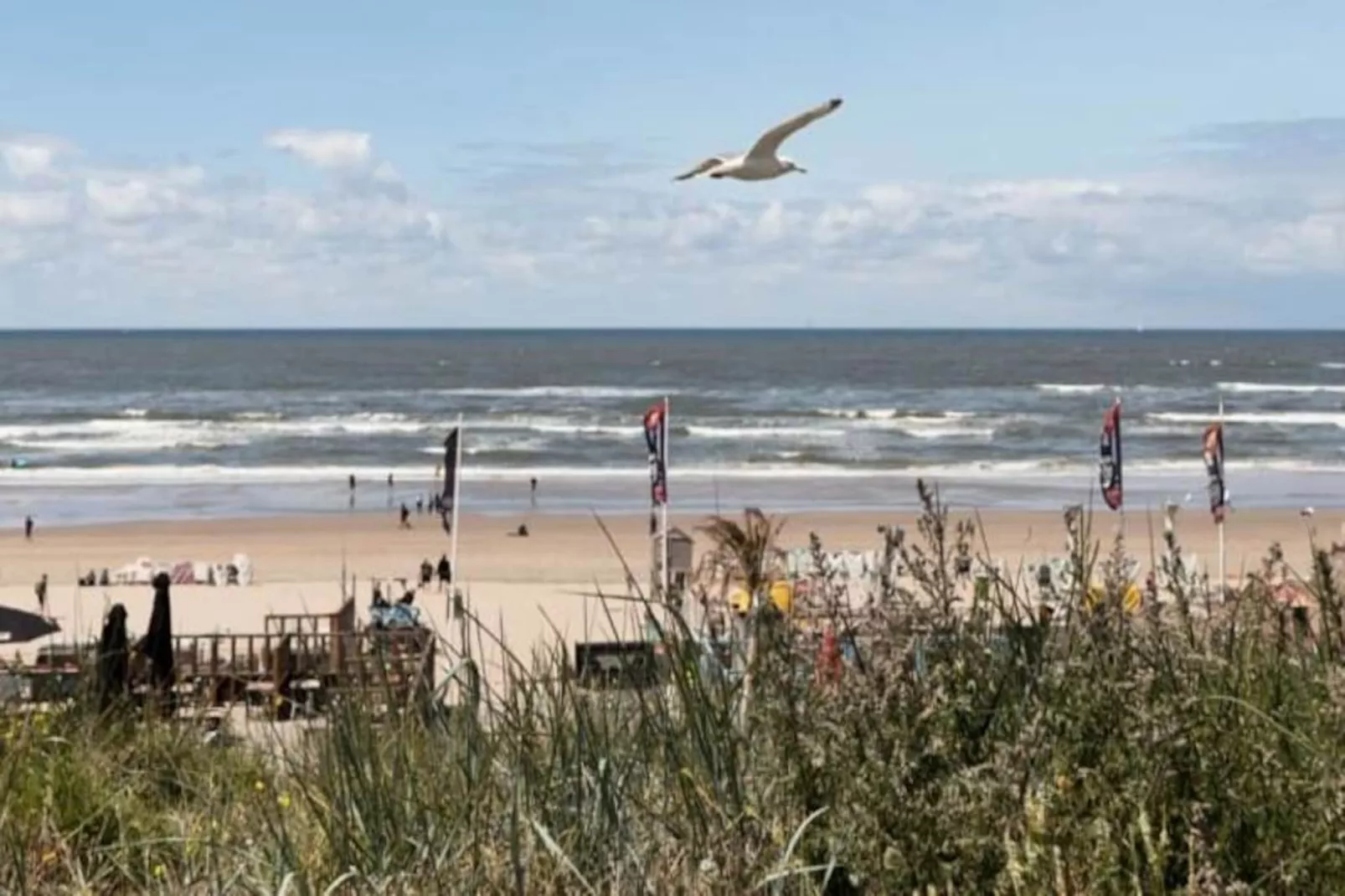 Oasis Zandvoort - Parking Gratuit-Non tagué