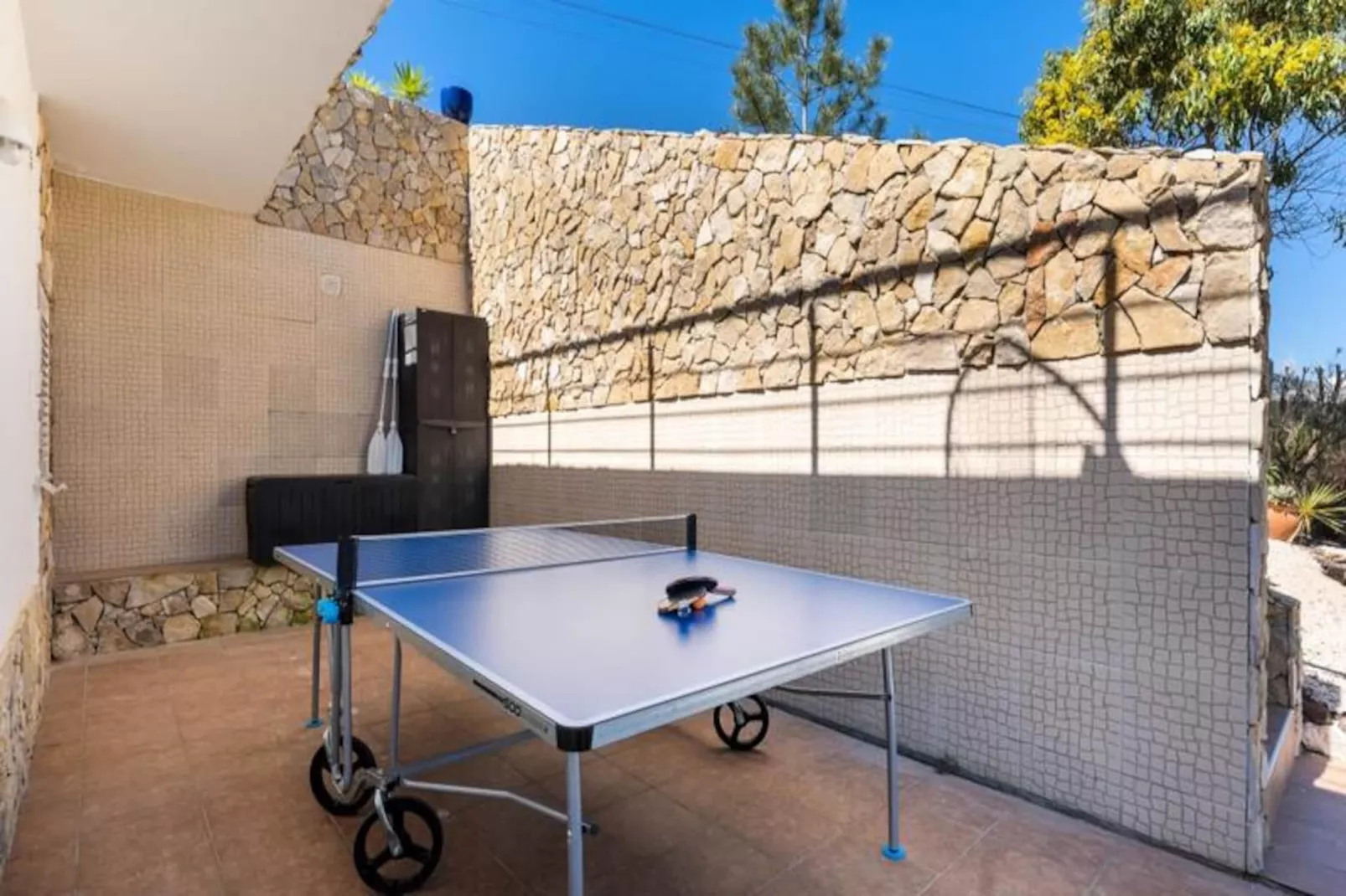 Duas Palmeiras-Nicht zugeordnet